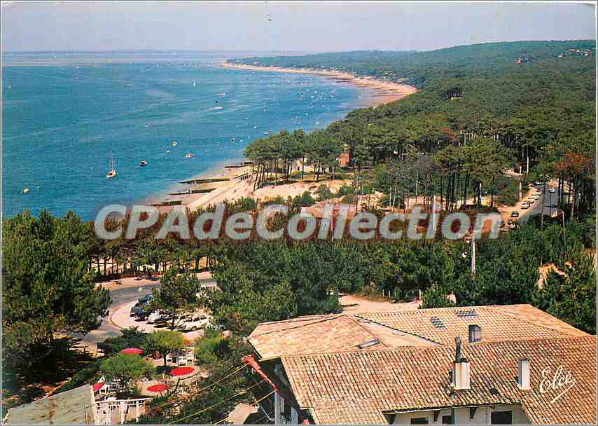 Bassin d'Arcachon — La Corniche vue de la Dune du Pilat — Éditeur : Couleurs Naturelles, N° 311