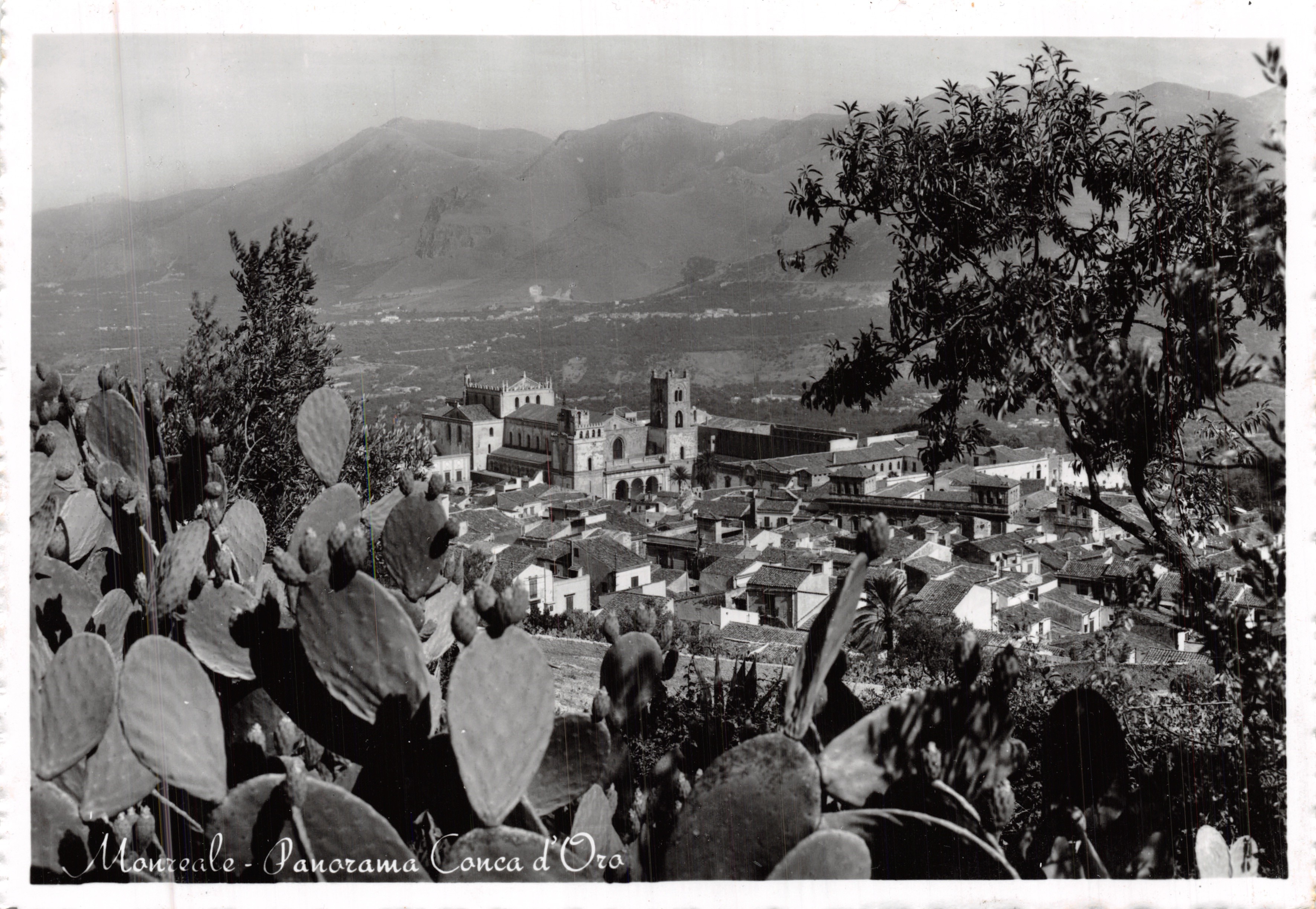Monreale — Panorama de la Conca d'Oro — Vera Fotografia Omniafotografa Torino