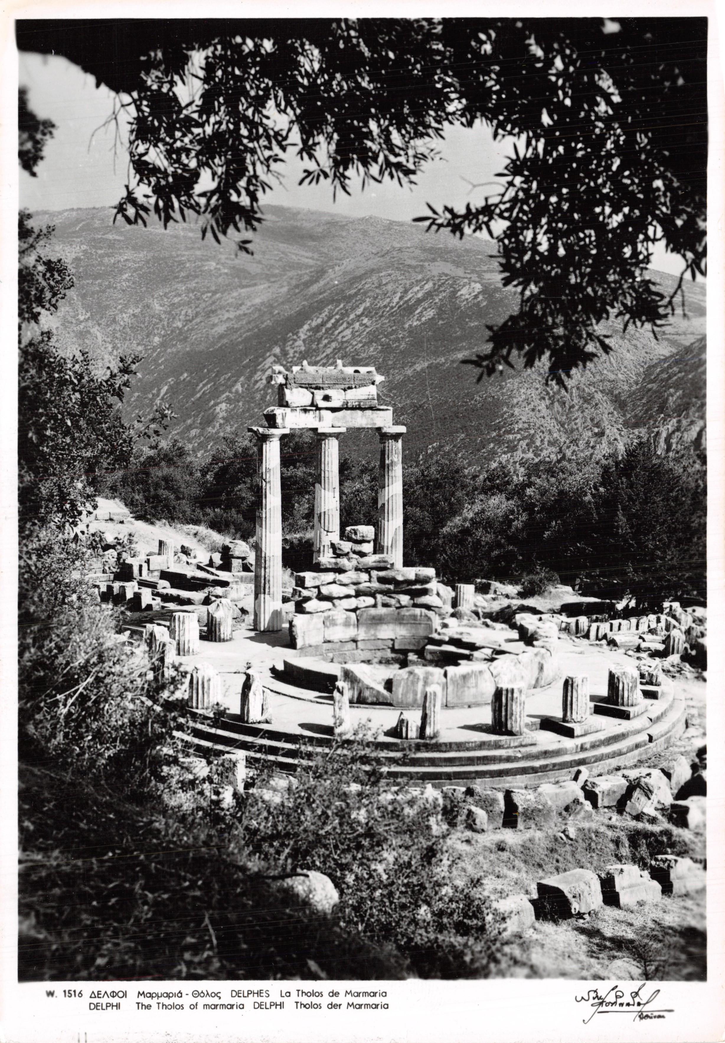 Tholos del Oráculo de Delfos — ruinas antiguas con columnas y muros de piedra — editor W. 1516