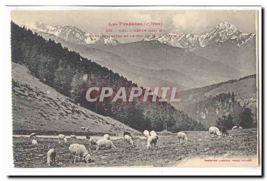 Les Pyrenees CPA Col d'Aspin Les paturages et le pic du Midi (moutons)
