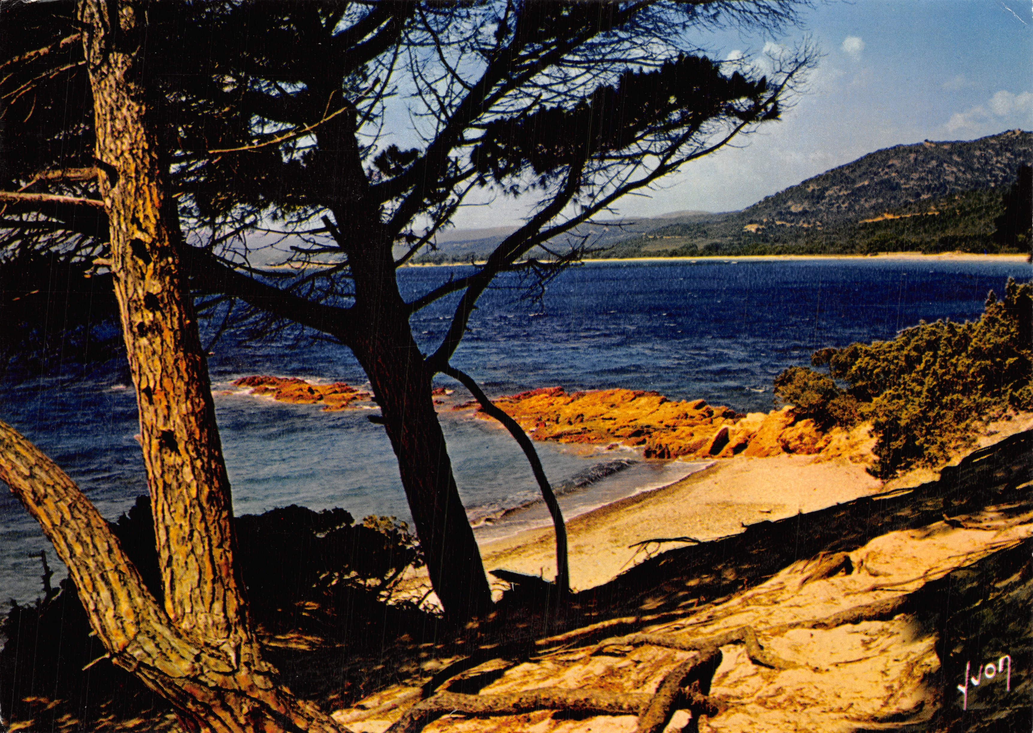 Plage de Palombaggia — vue de la côte corse bordée de pins — Éditions d'art Jean-Jaurès