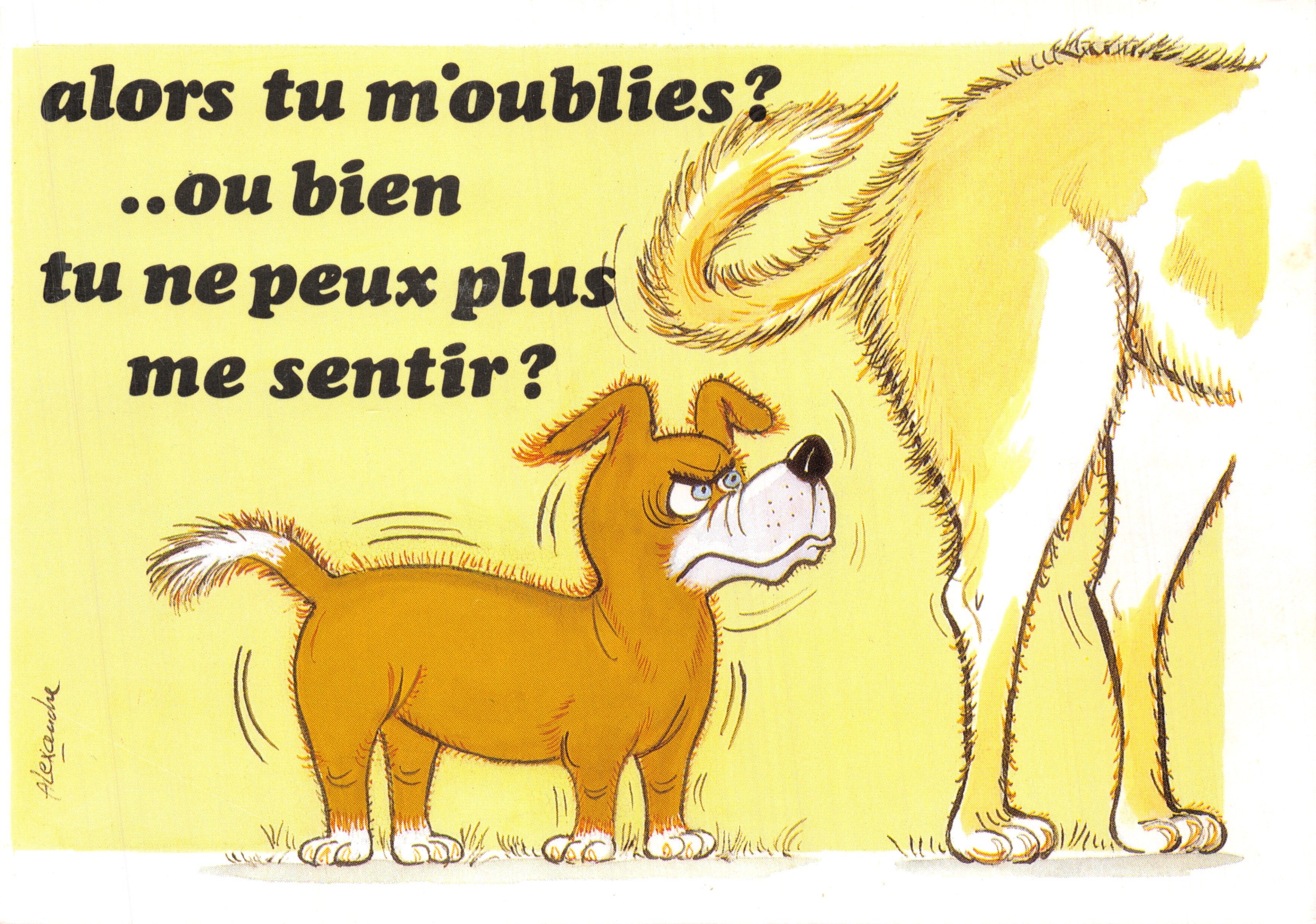 Deux chiens — scène humoristique — éditeur ABEILLE CARTES - Ed. LYNÁ - Série 962/4