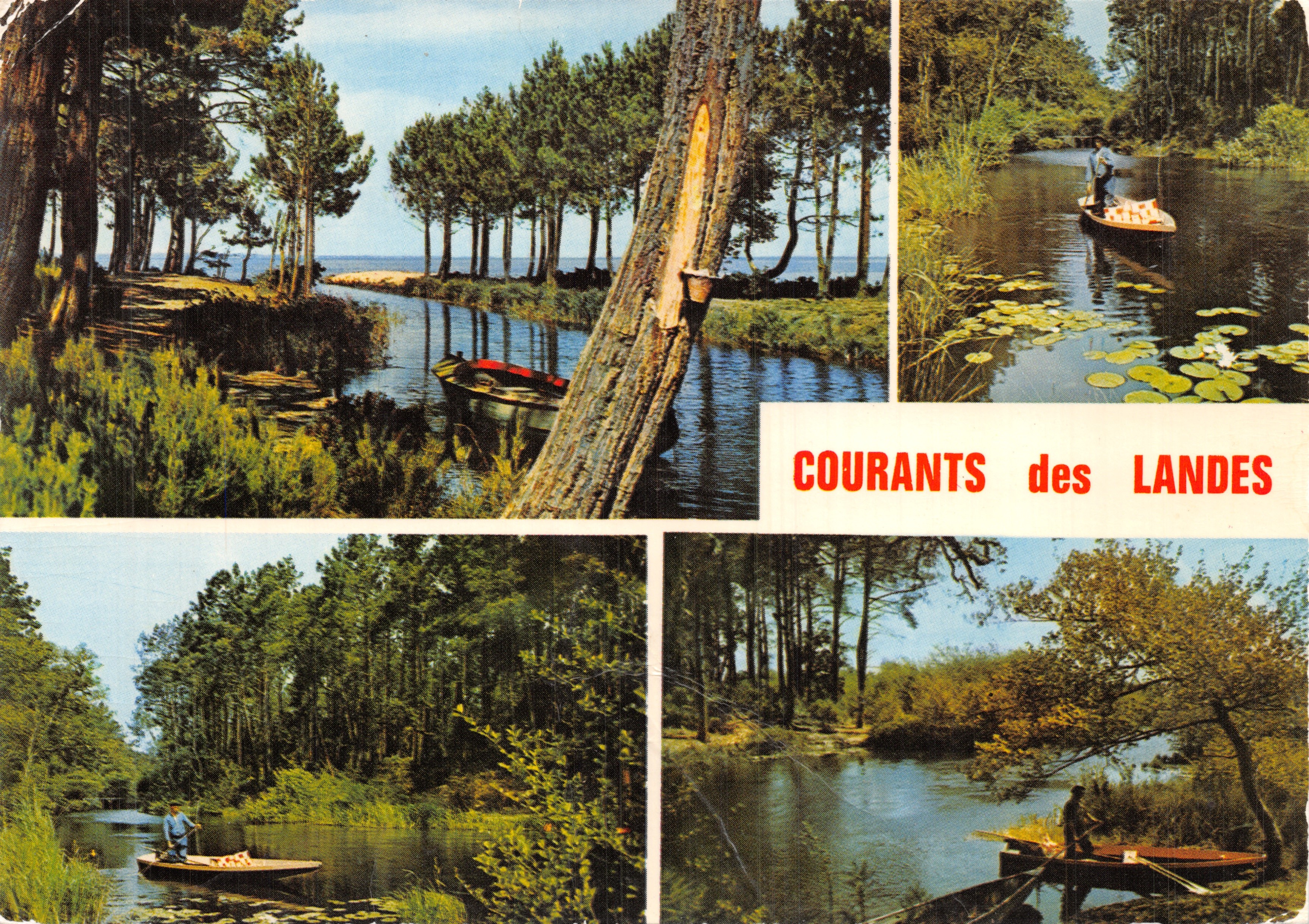 Courants des Landes — paysages fluviaux et lacustres en forêt de pins
