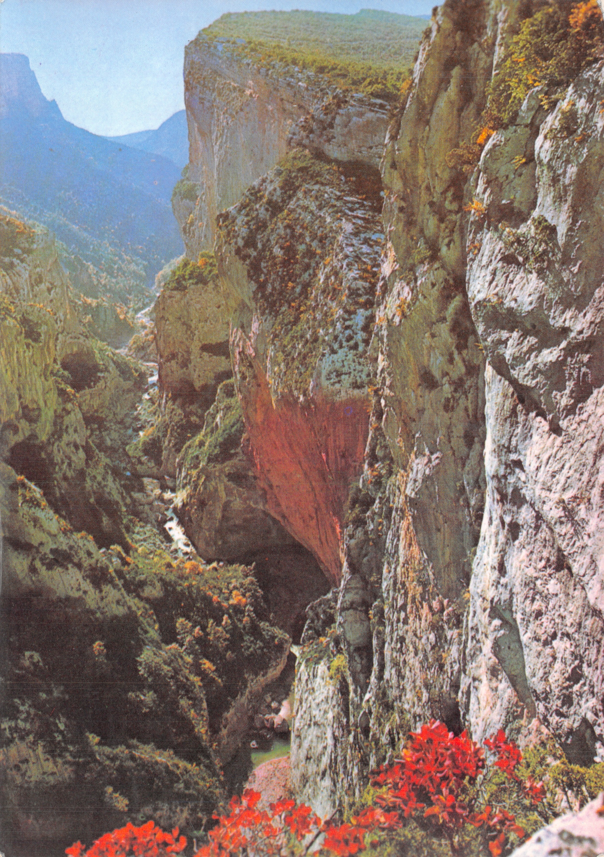 Les Gorges du Verdon — vue panoramique avec falaises et fleurs rouges — Éditions Photoguay, n° EA 112