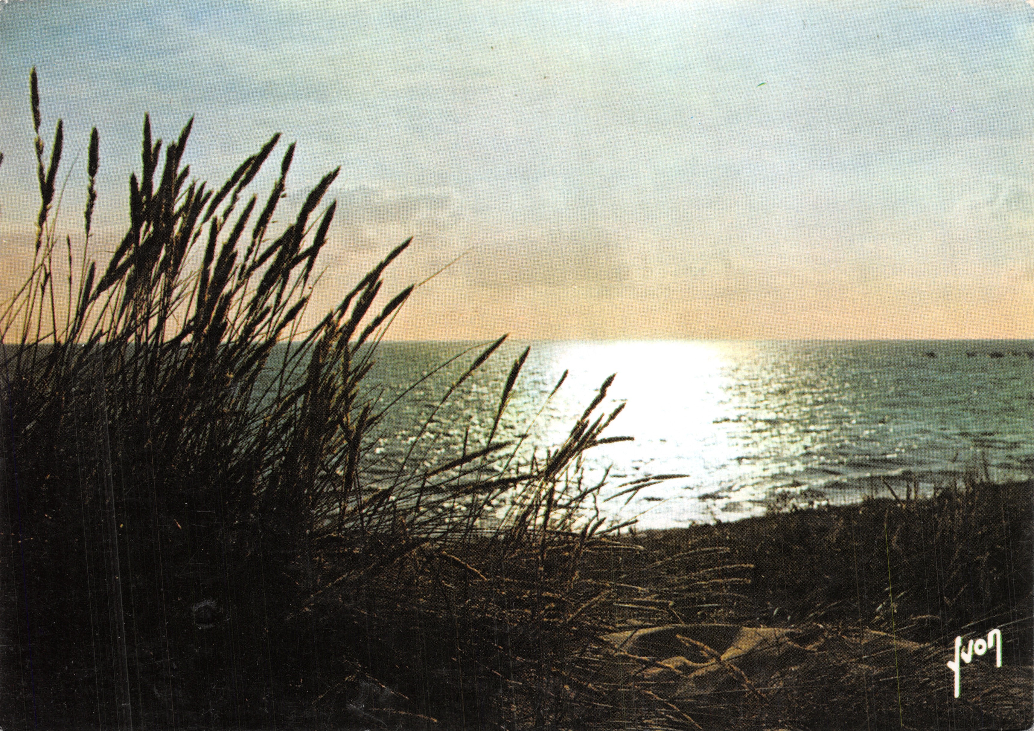 Coucher de soleil sur la mer — vue de dunes avec herbes en premier plan — Éditions d'art Yvon