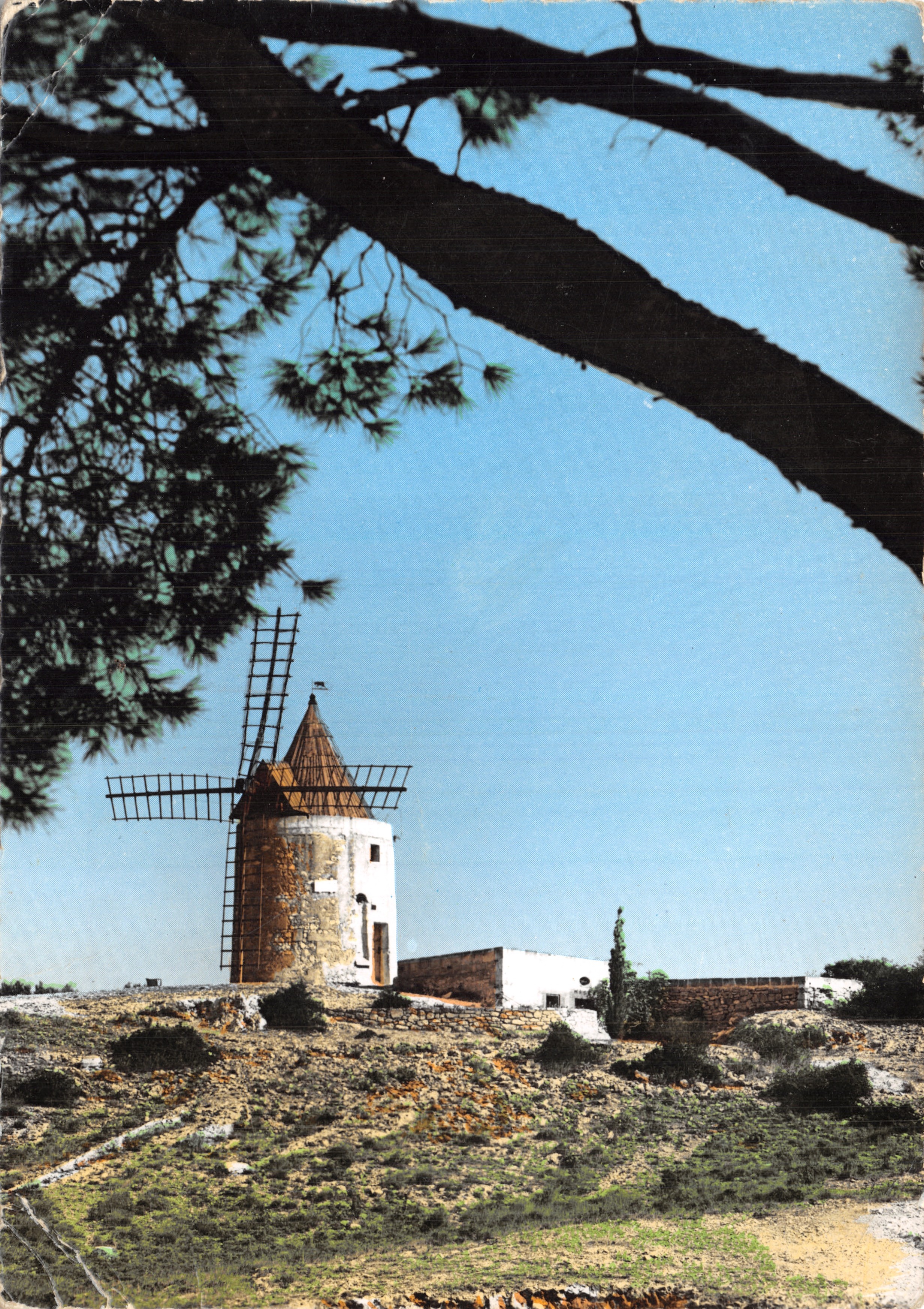 Le Moulin de Daudet — Provence — Éditeur: Editions S.E.P.T. - Repr. Inter. - N° 37-1