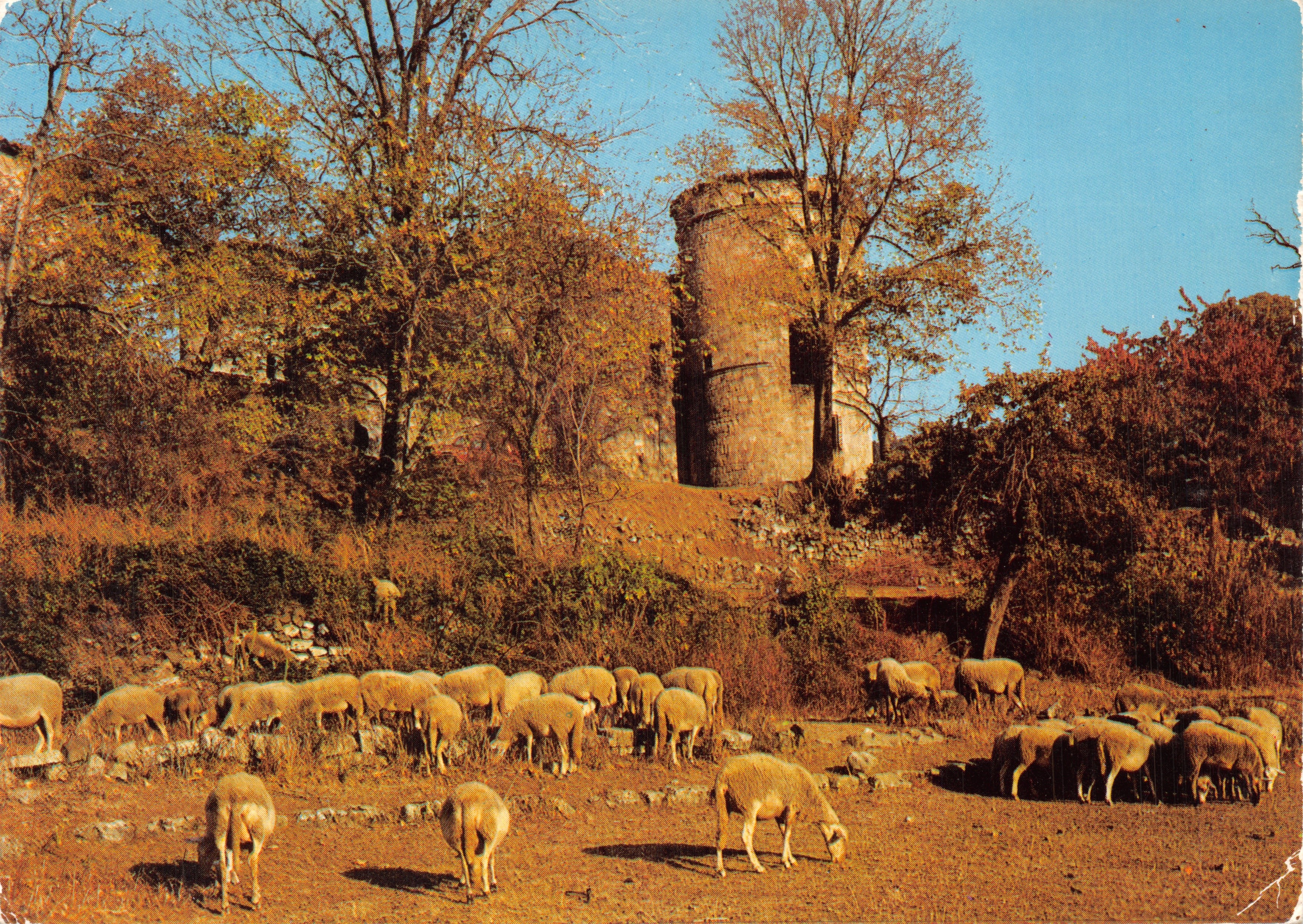 Les Ruines du Château de Crau — Tour ronde en ruine — Éditions CELLARD, n° A. 353