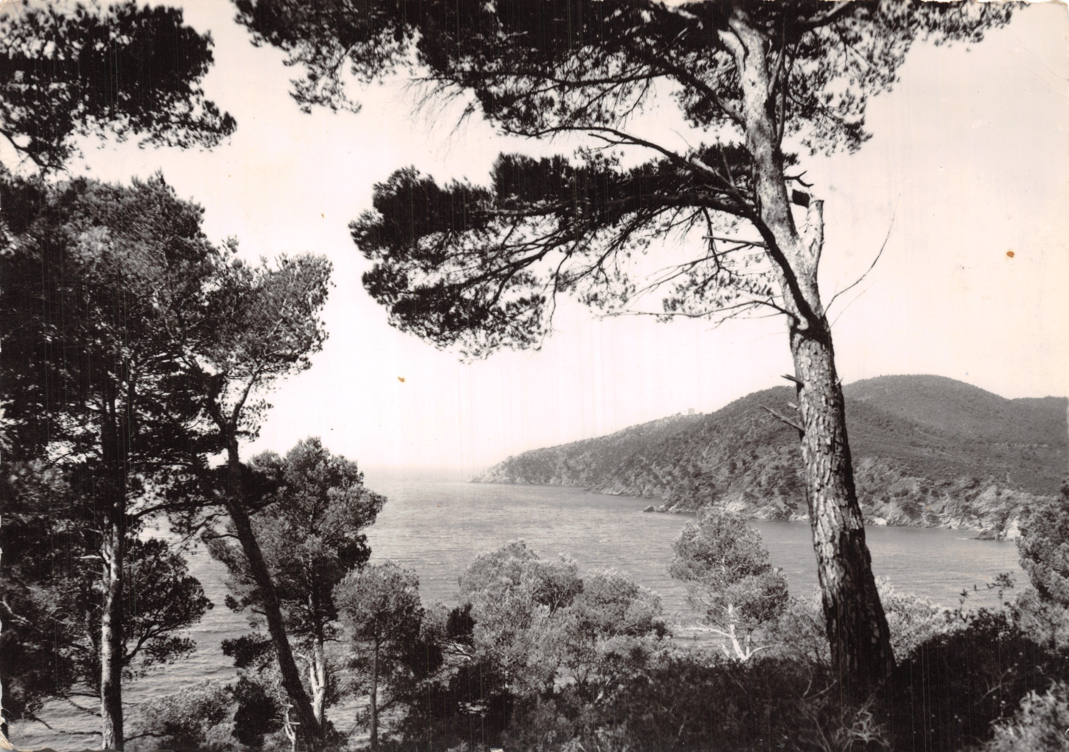 Las orillas del Río — Vista — Éditions de France, Saint-Tropez