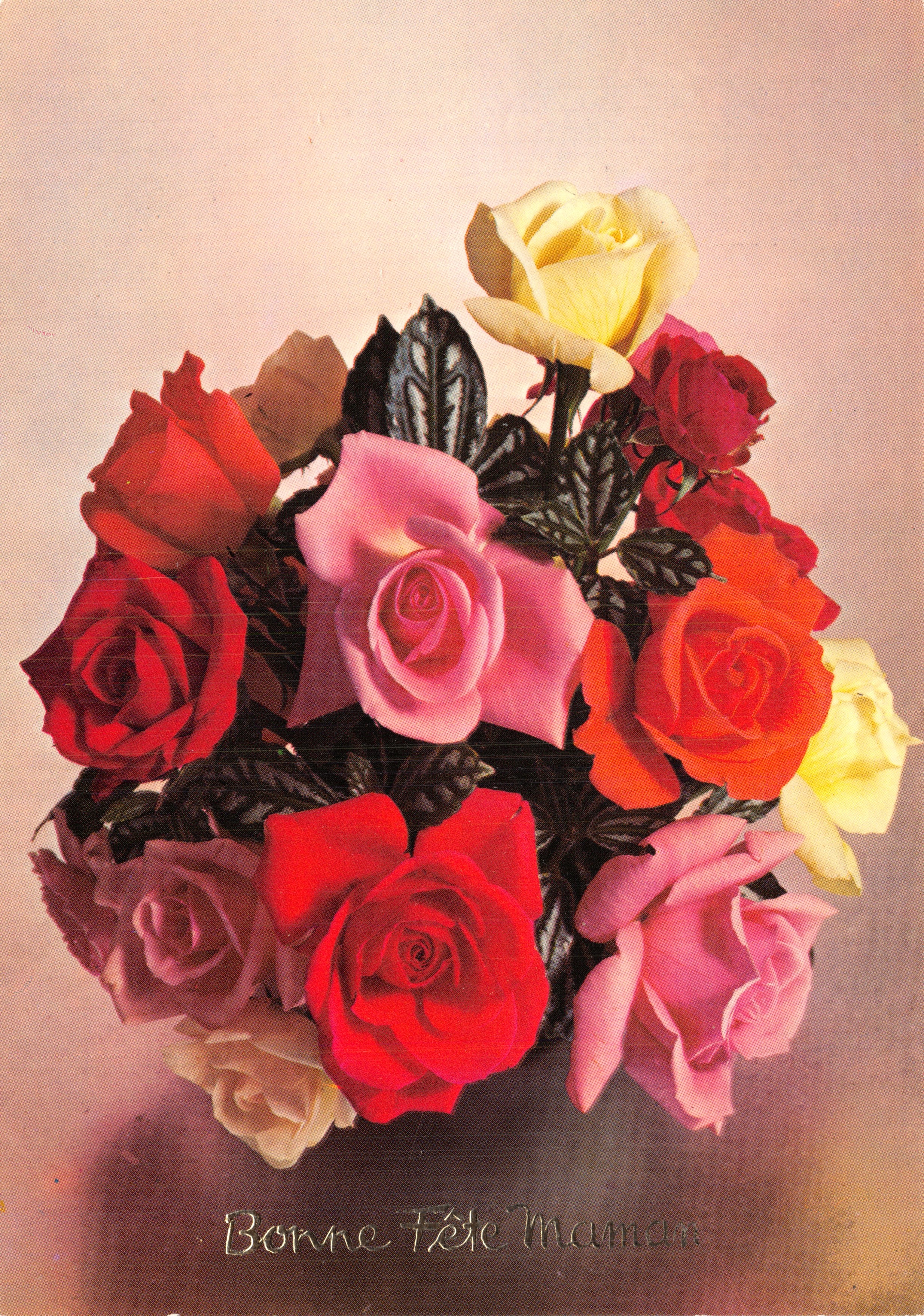 Bouquet de rosas coloridas — ilustración — impreso en la tarjeta