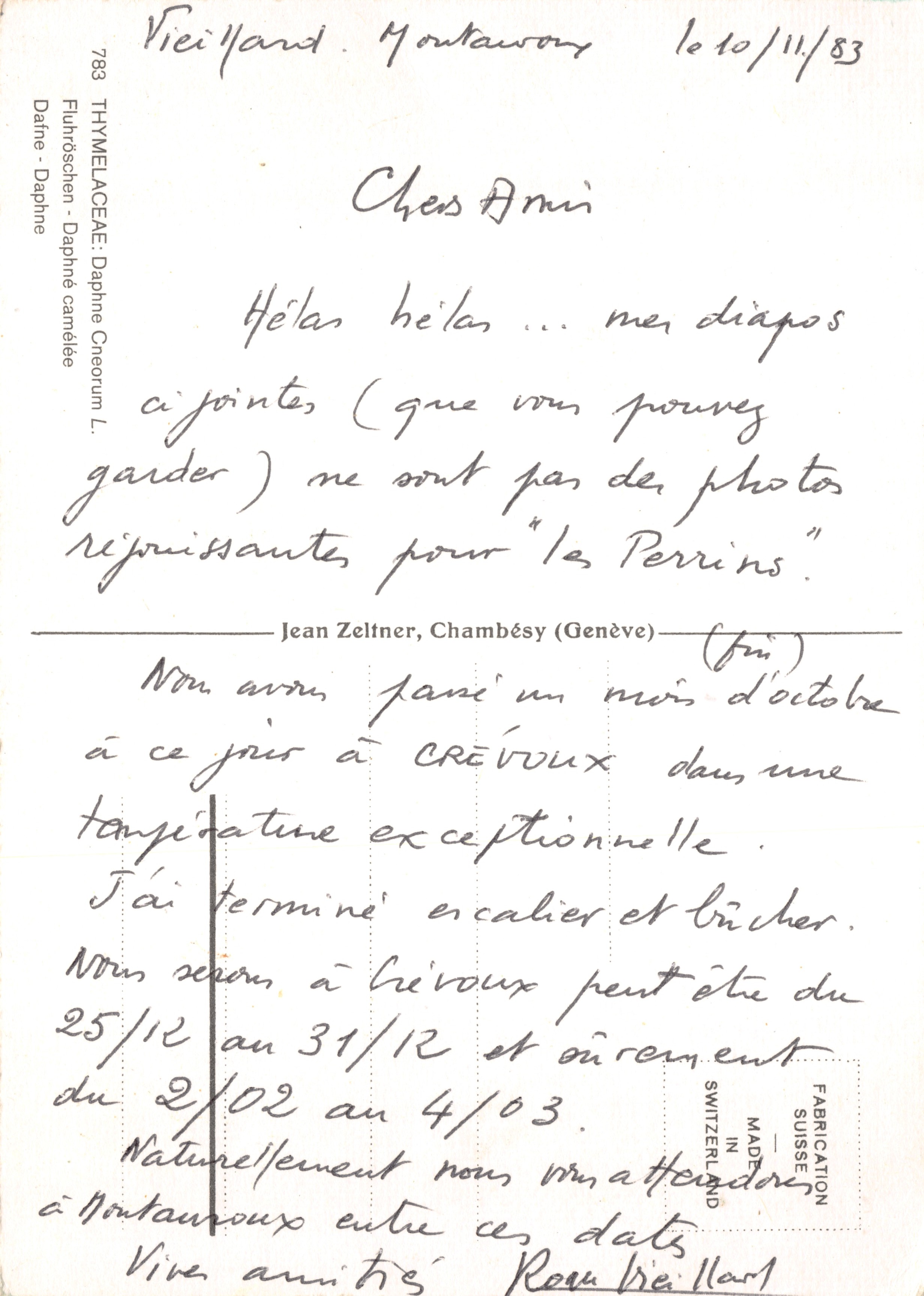 Daphne cneorum — fleurs roses dans un cadre végétal — FABRICATION SUISSE — Verso