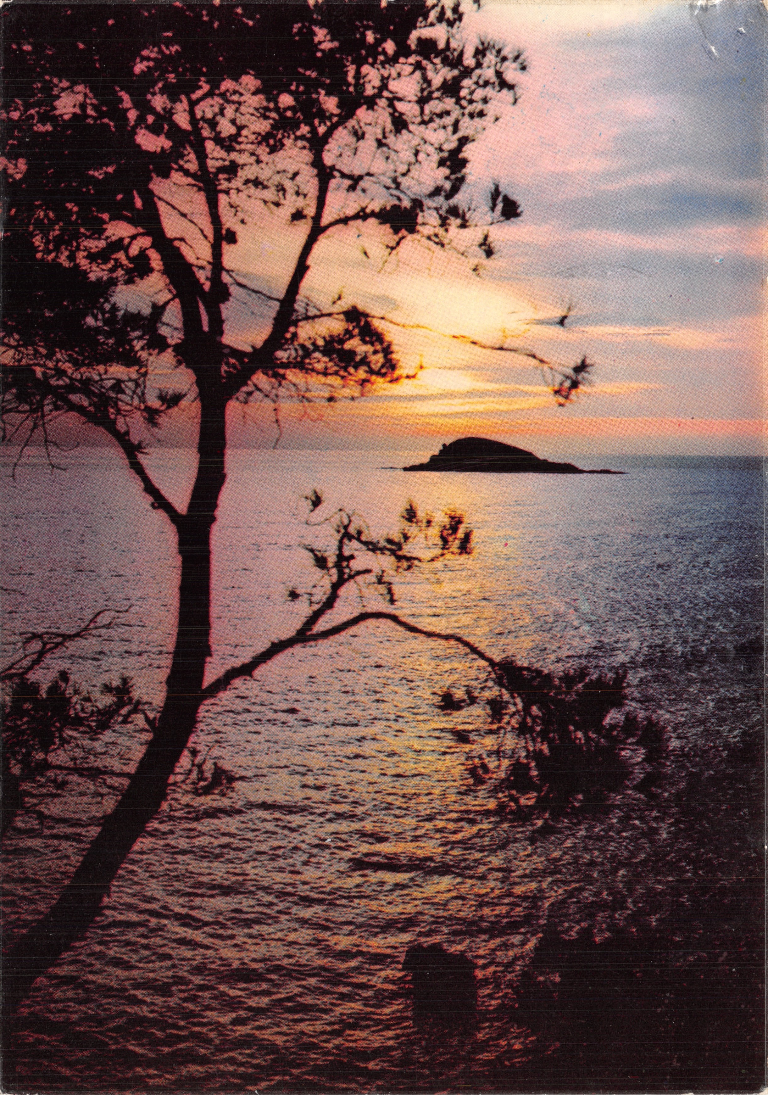 Coucher de soleil sur la Méditerranée — île au loin, arbre en premier plan — Édition Carrefour des Baies du Soleil