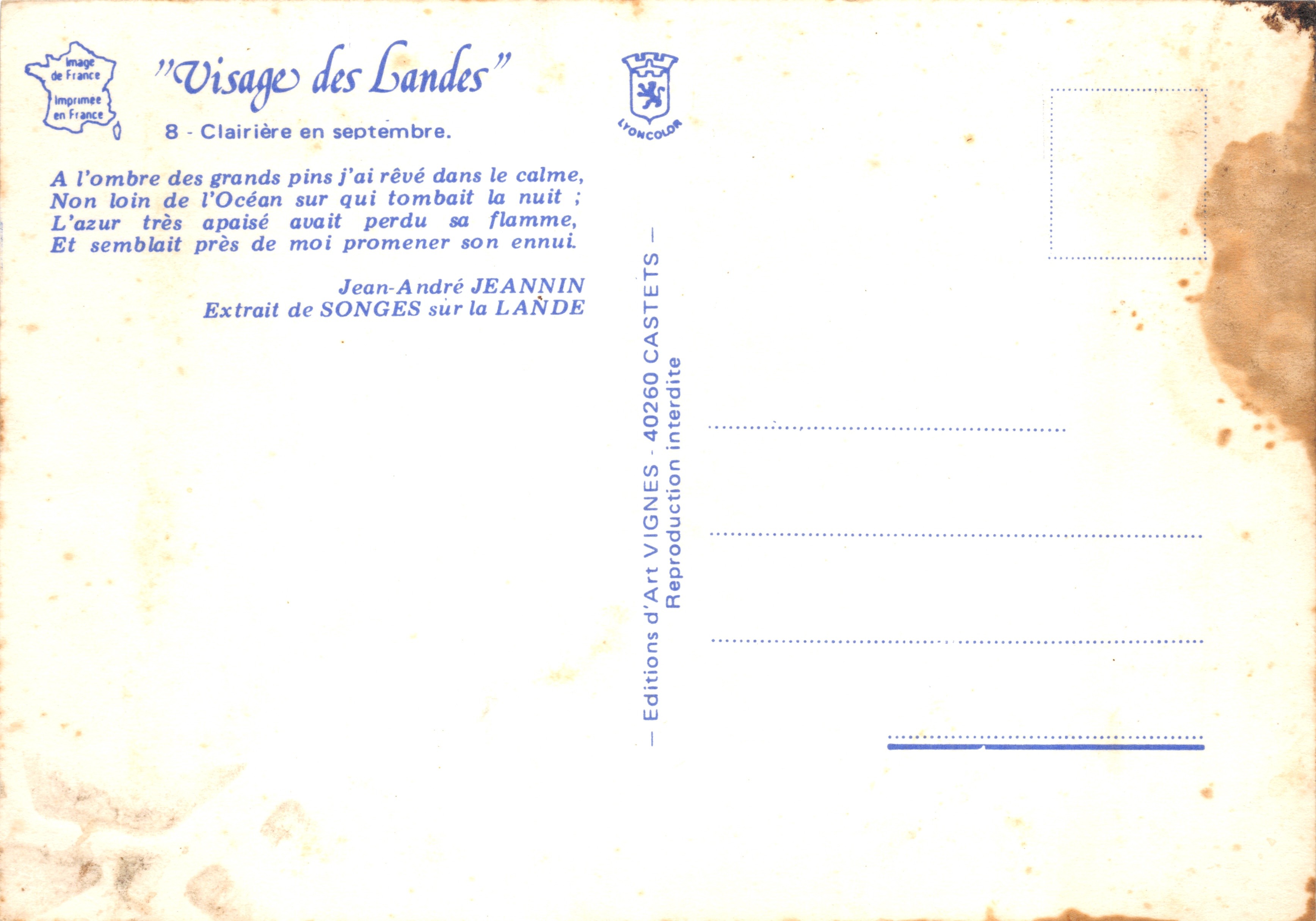 Bosque de pino — Claro en septiembre — VIGNES — Reverso