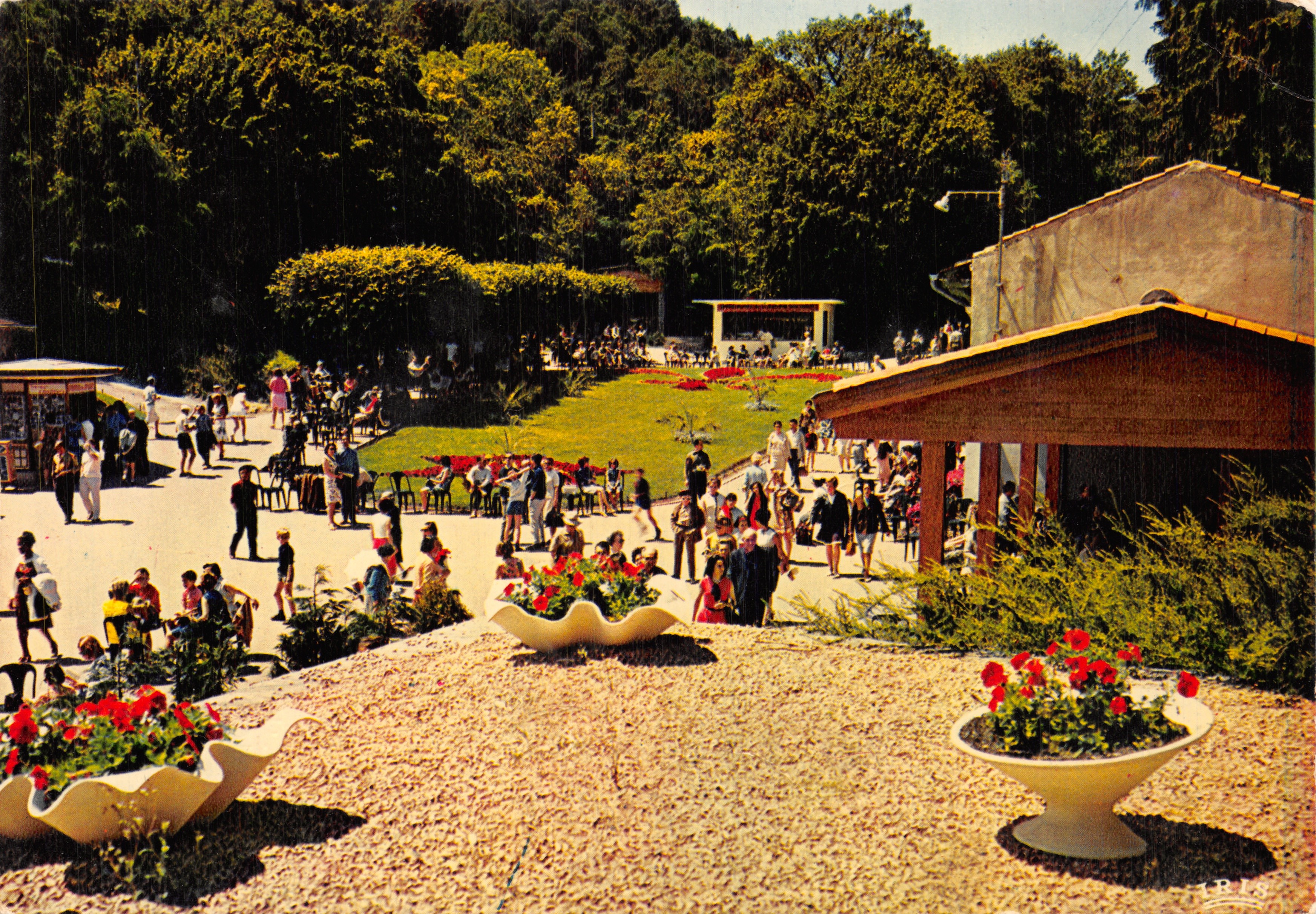 Châtelguyon (P.d.e-D.) — Stazione termale d'Auvergne, Il Parco — Éditions IRIS MEXICHROME n°63.103.134
