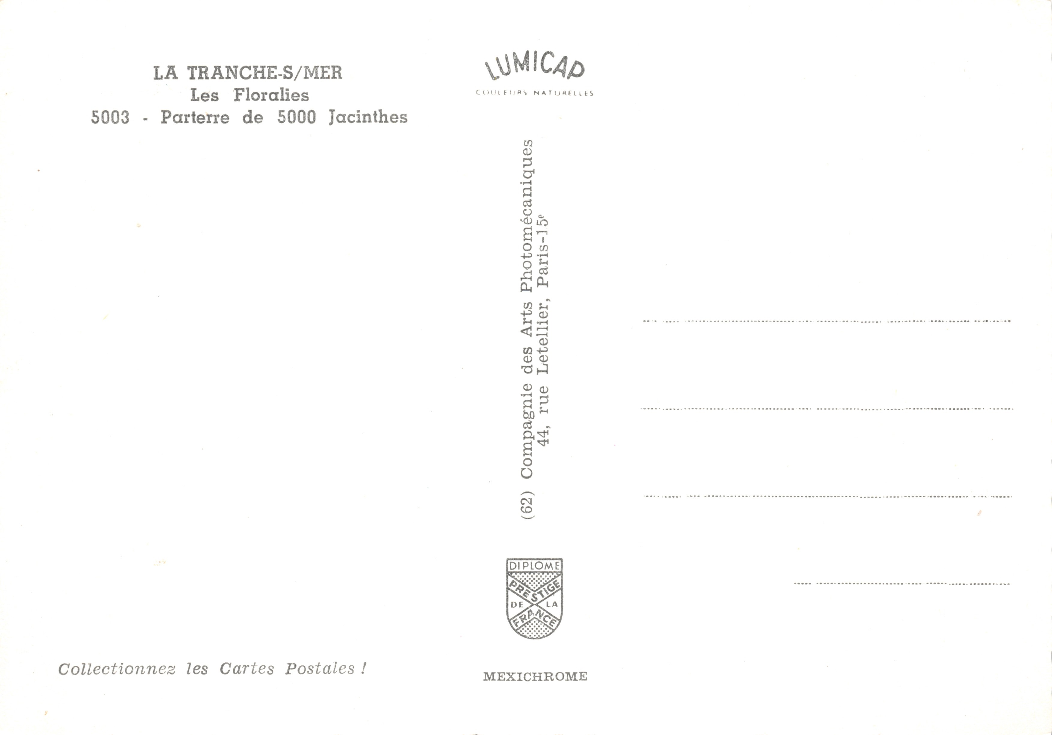 La Tranche-sur-Mer — Parterre de 5000 Jacinthes — éditeur LUMICAP — Reverso