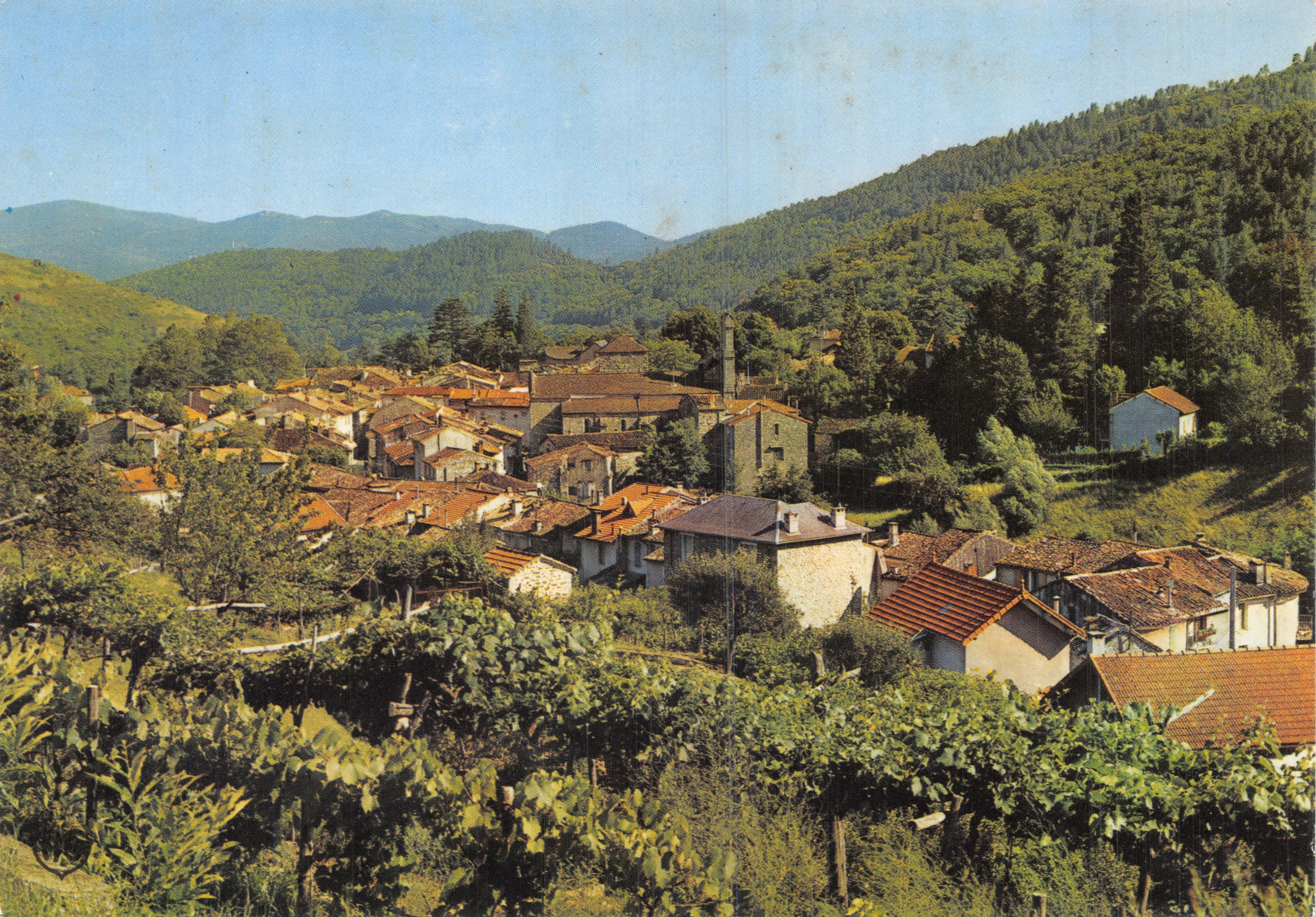 Génolhac (Gard) — vue générale du village ensoleillé avec vignes en premier plan — Société des Cartes Postales APA-POUX - ALBI