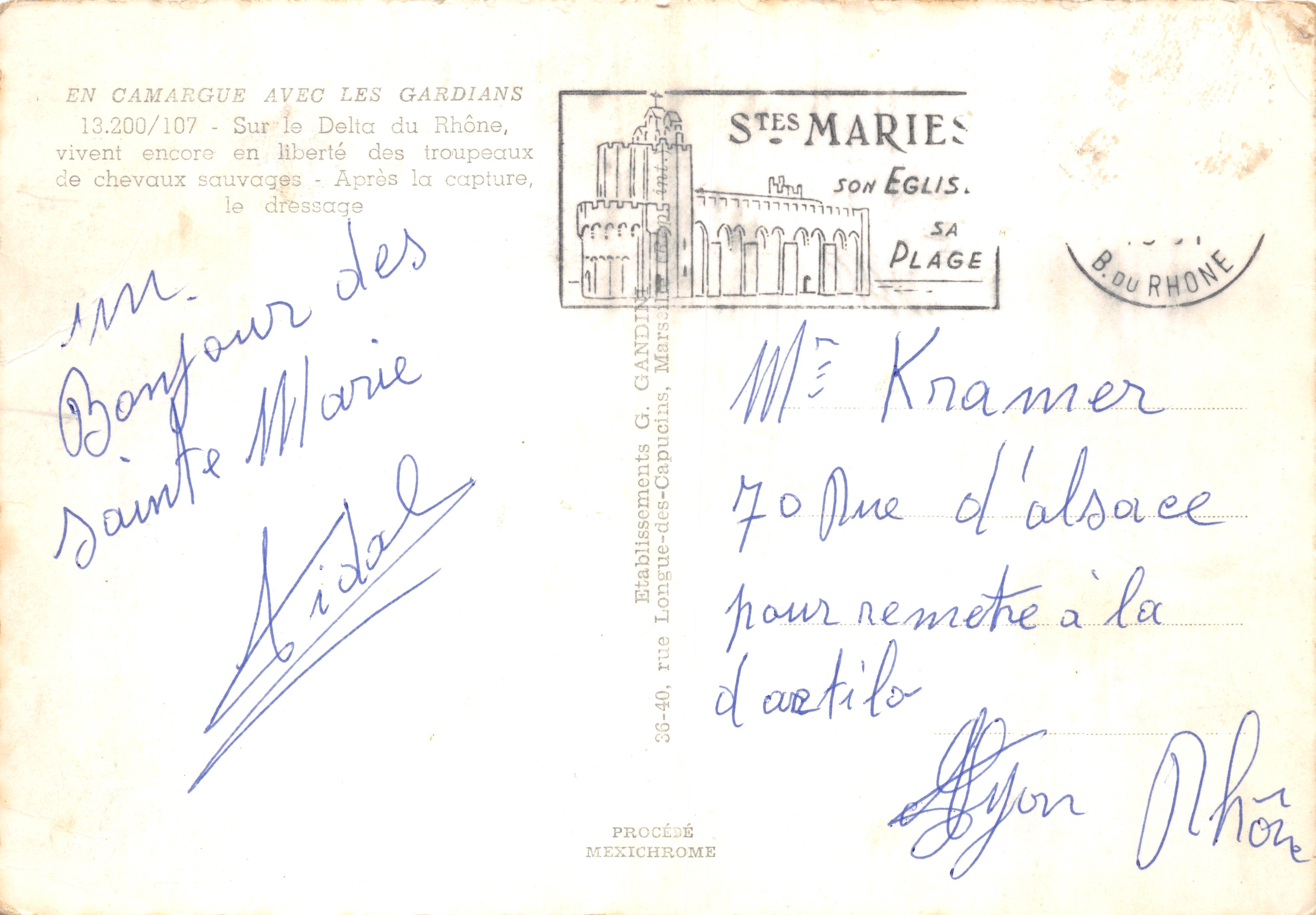 Cheval sauvage dressé — scène de captivité — Établissements G. Gandin, Saintes-Maries-de-la-Mer — Verso
