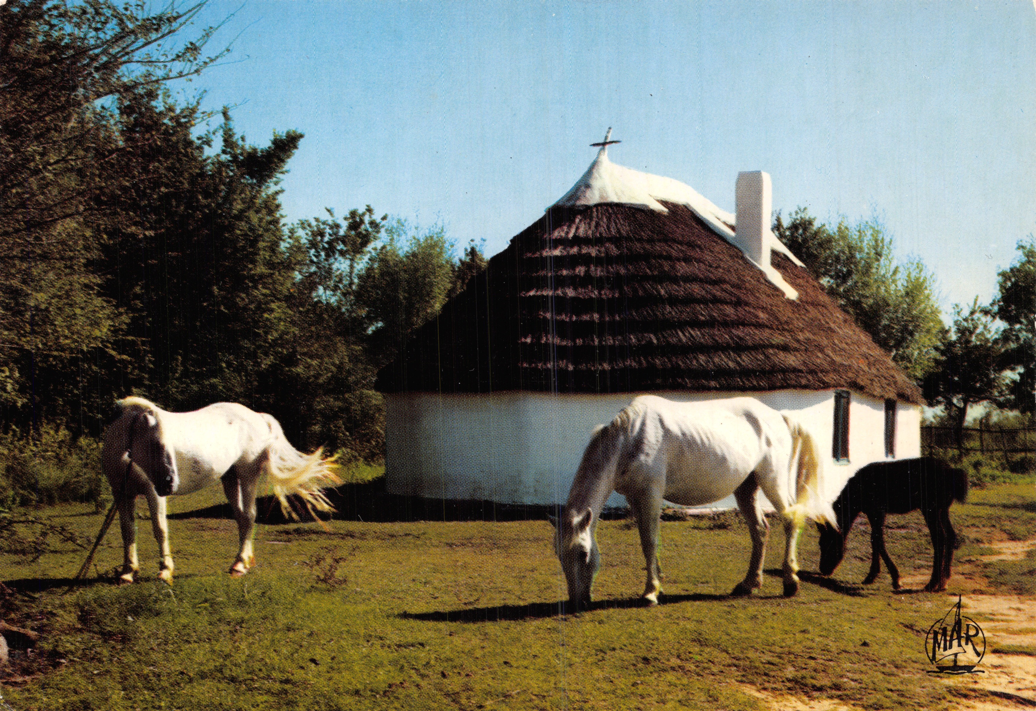 Camargue — hut van de Gardians — Les Éditions MAR