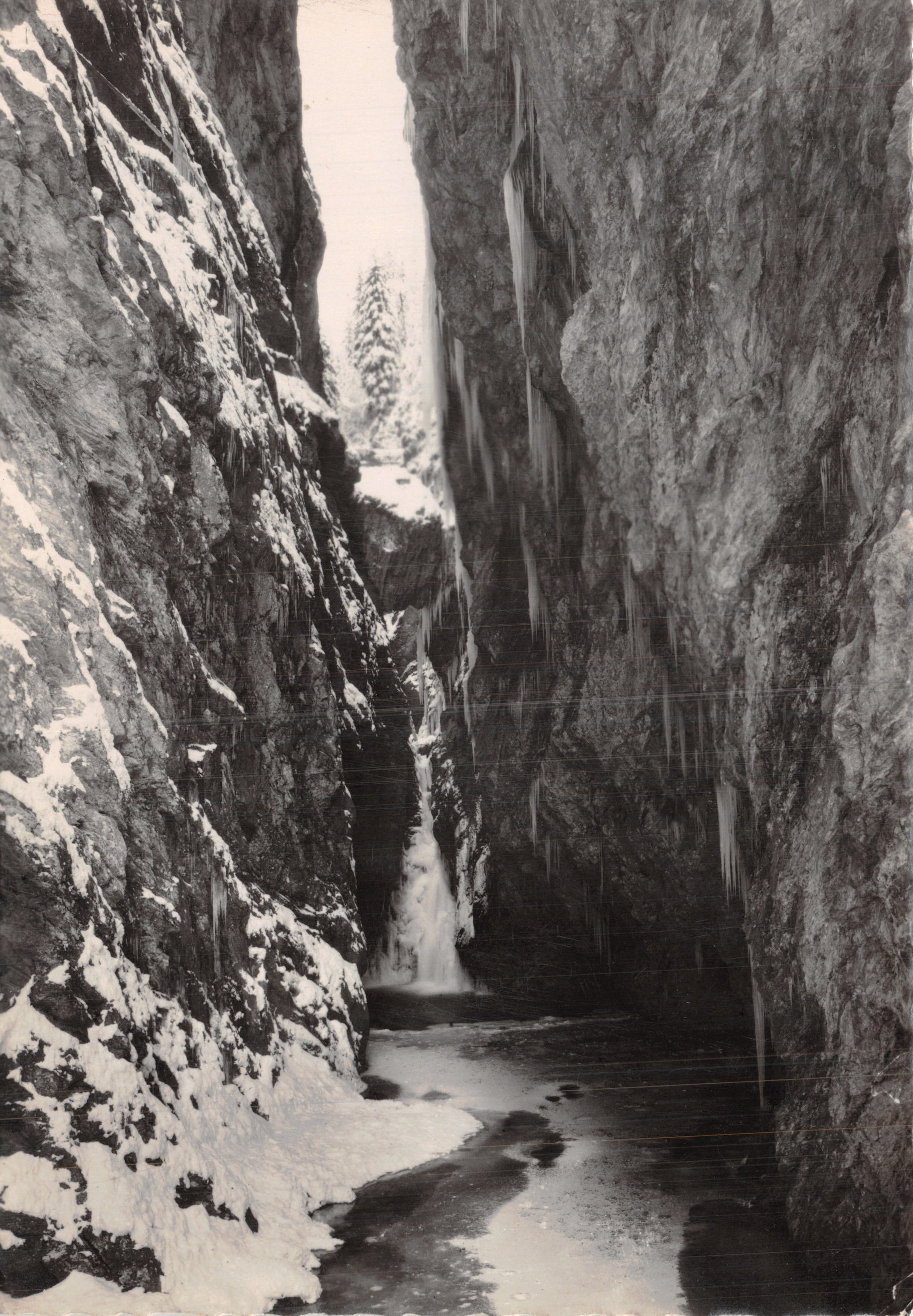 Gorges de la Diosaz — Natuurlijke brug in de winter — G.O.D.C.E.F. Servoz (I.L.S.)