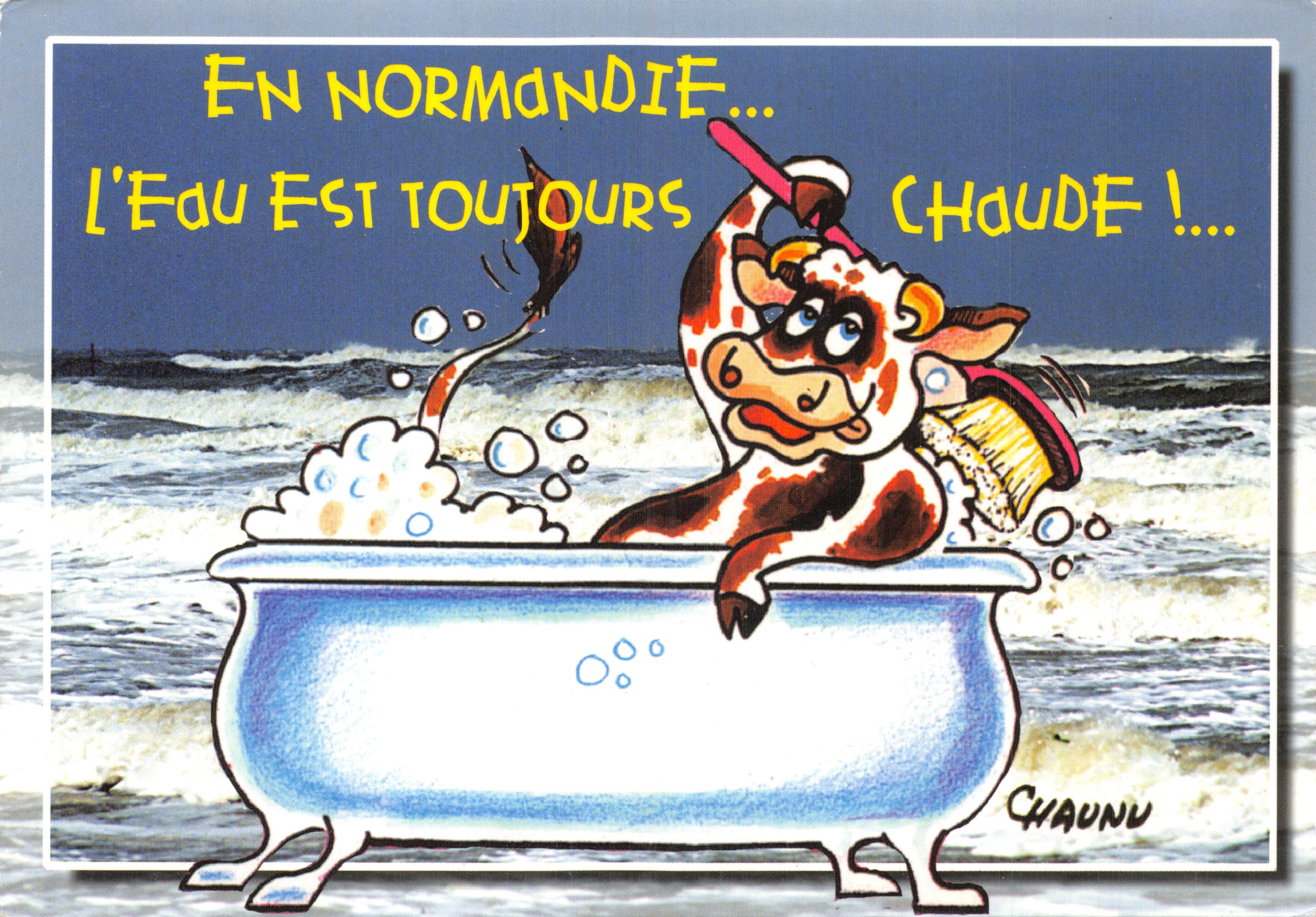 Vache dans une baignoire — caricature humoristique — dessin de CHAUNU, édité par Éditions Normandes