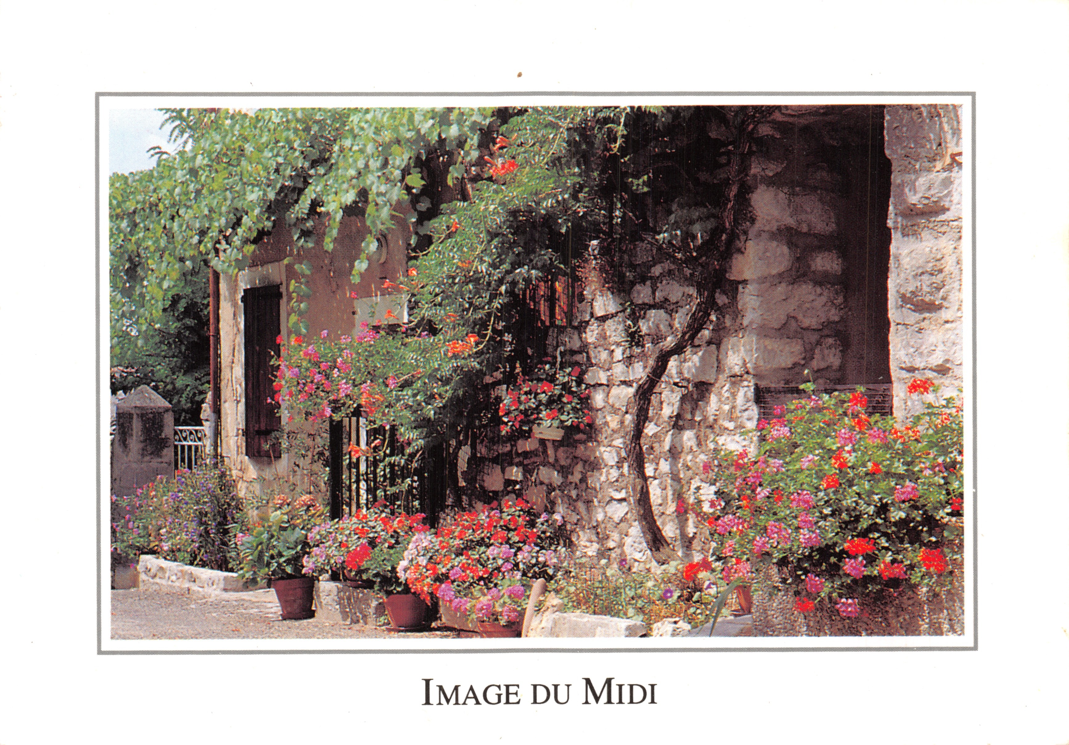 Façade fleurie — maison en pierre avec lierre et géraniums — Image du Midi