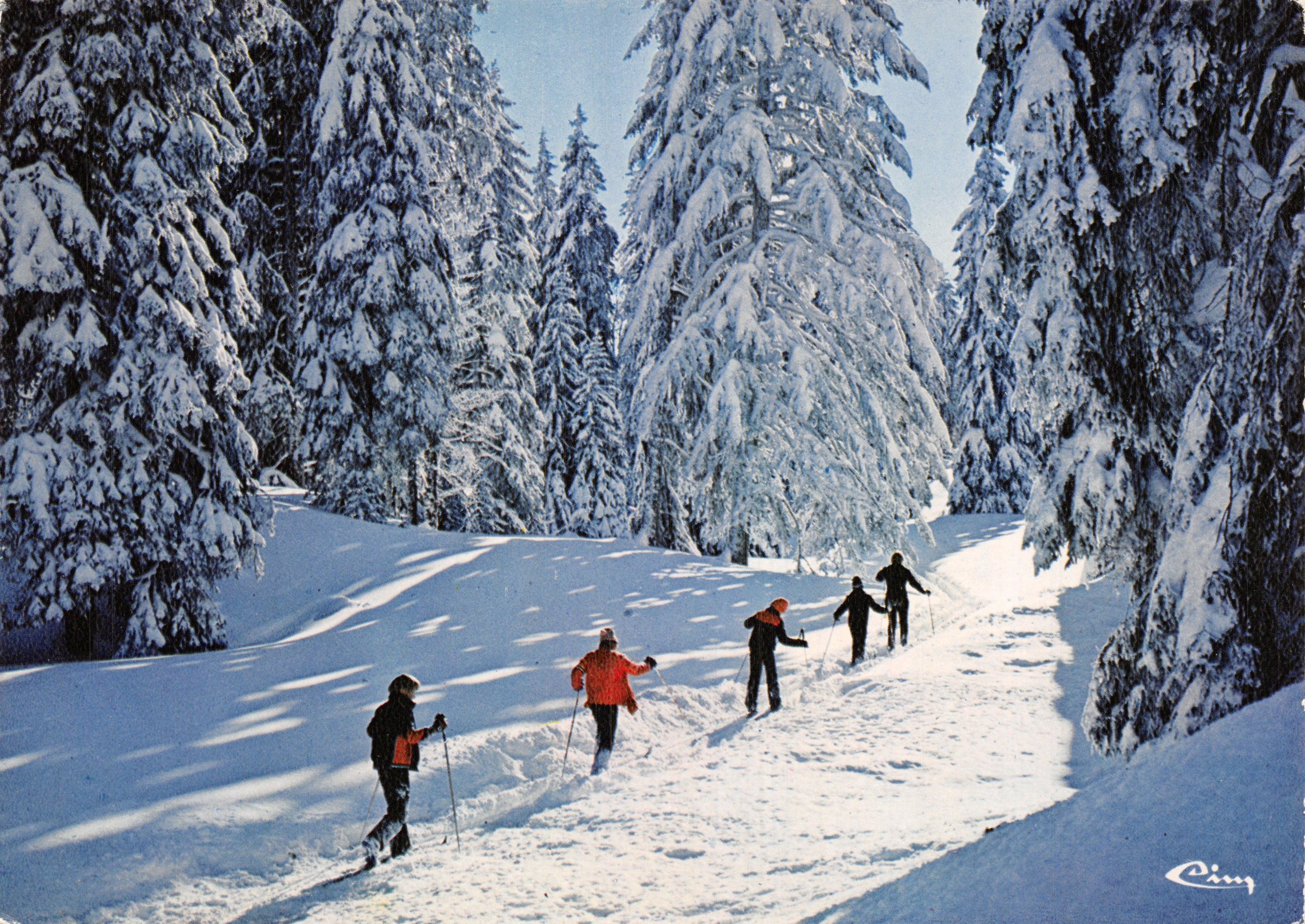 Skifahrer in einem schneeverdeckten Wald — Berglandschaft — Verlag Photo Dechris - Diathec, n° 3 NL 81 1718