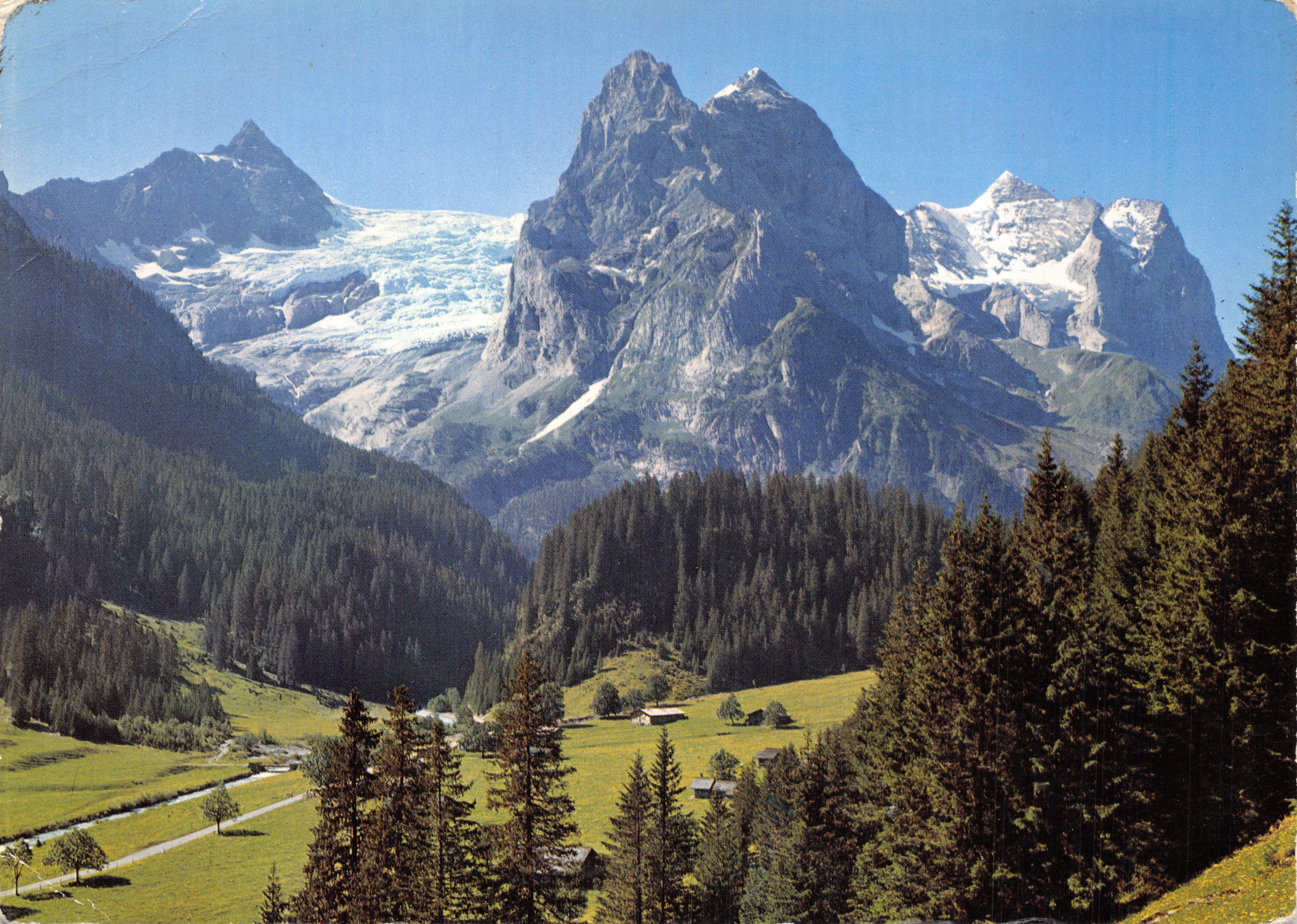 Rosenlaui — Blick auf das Tal und den Gletscher mit dem Wetterhorn — Verlag R. Würgler, Phot. Meiringen, Nr. F 61