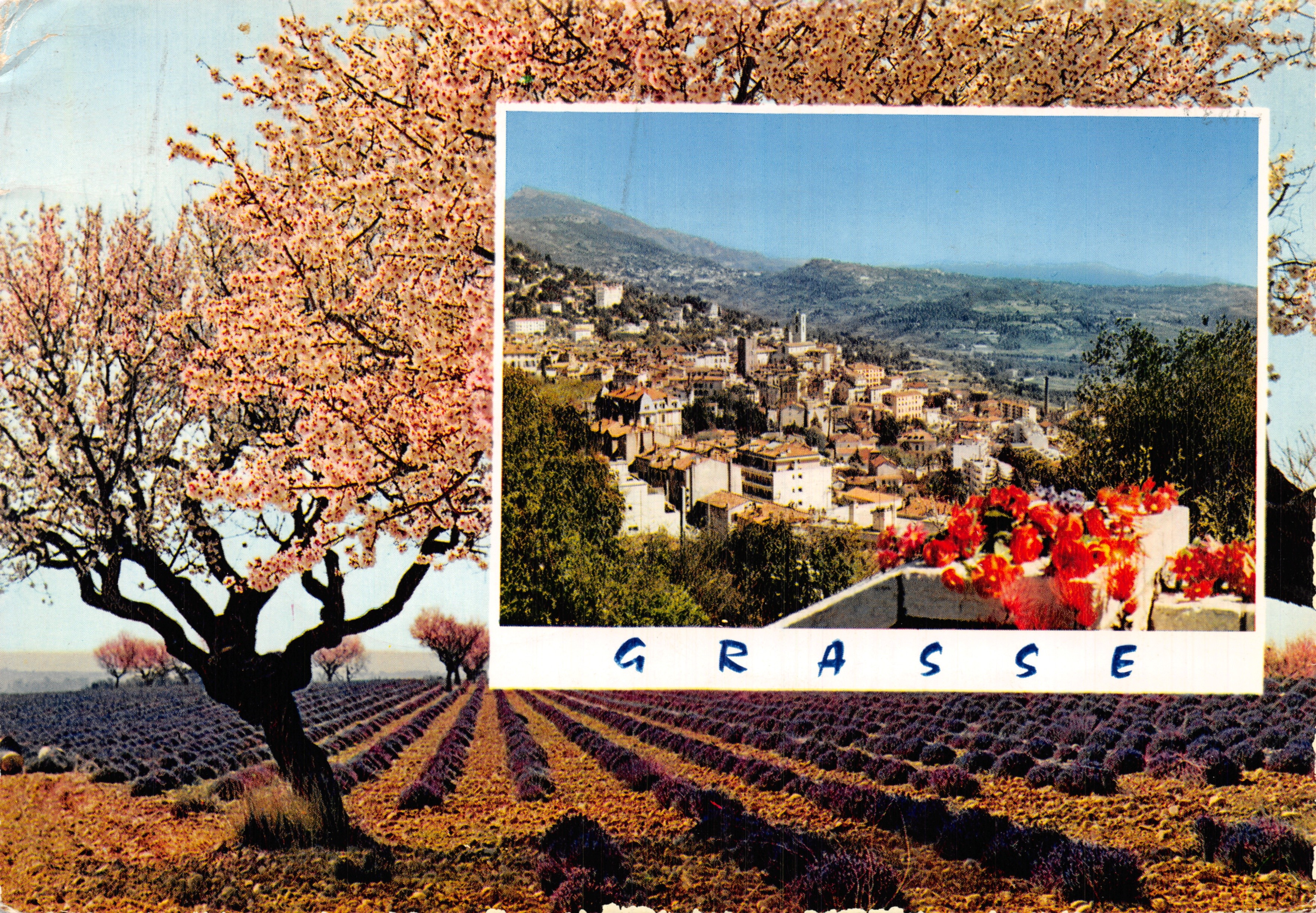 Grasse — vue panoramique et champs de lavande — Éditions Carrefour Mondial du Tourisme