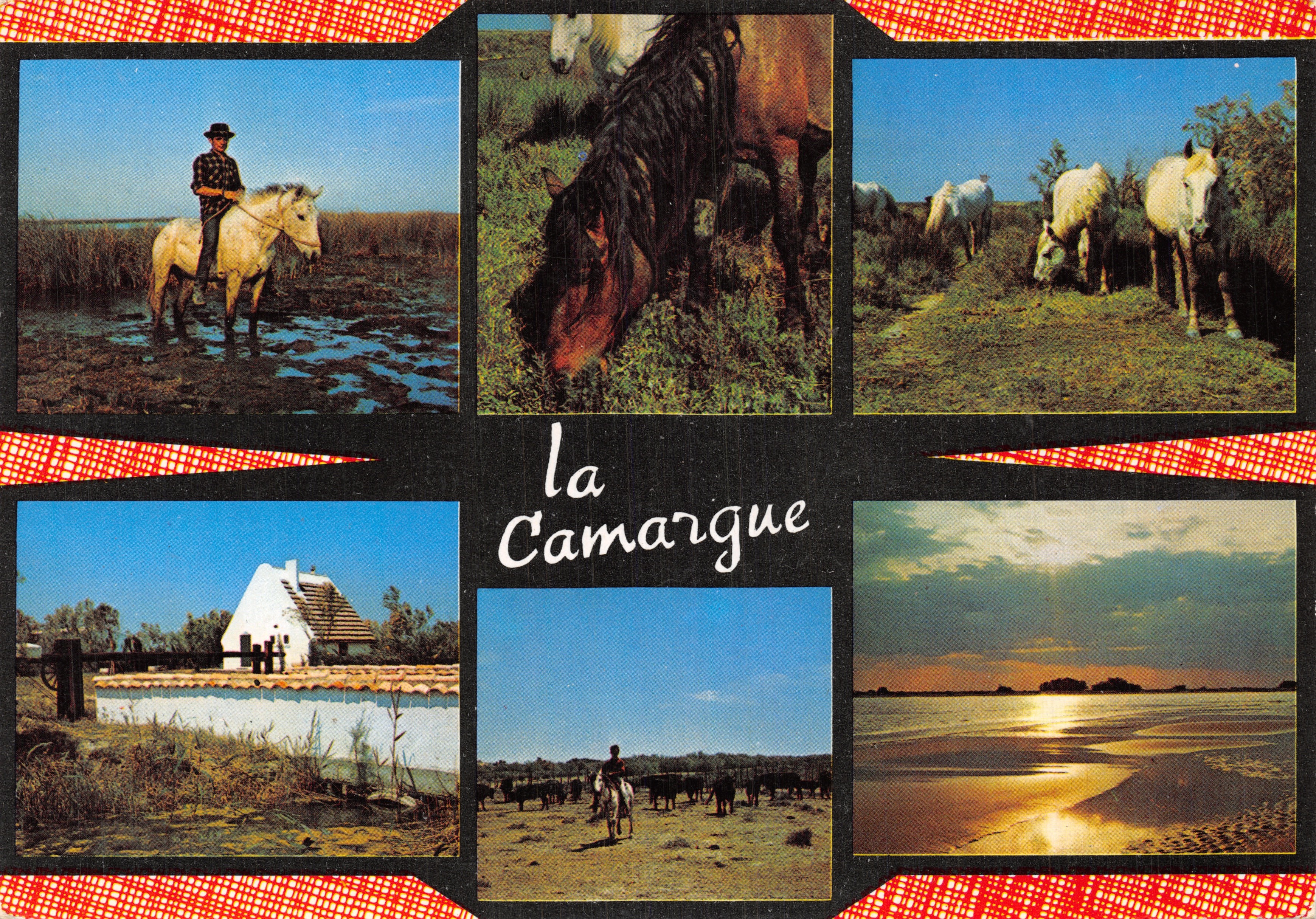 La Camargue — paysage et chevaux — ÉDITIONS LION-MILLERBANN (Rhône)