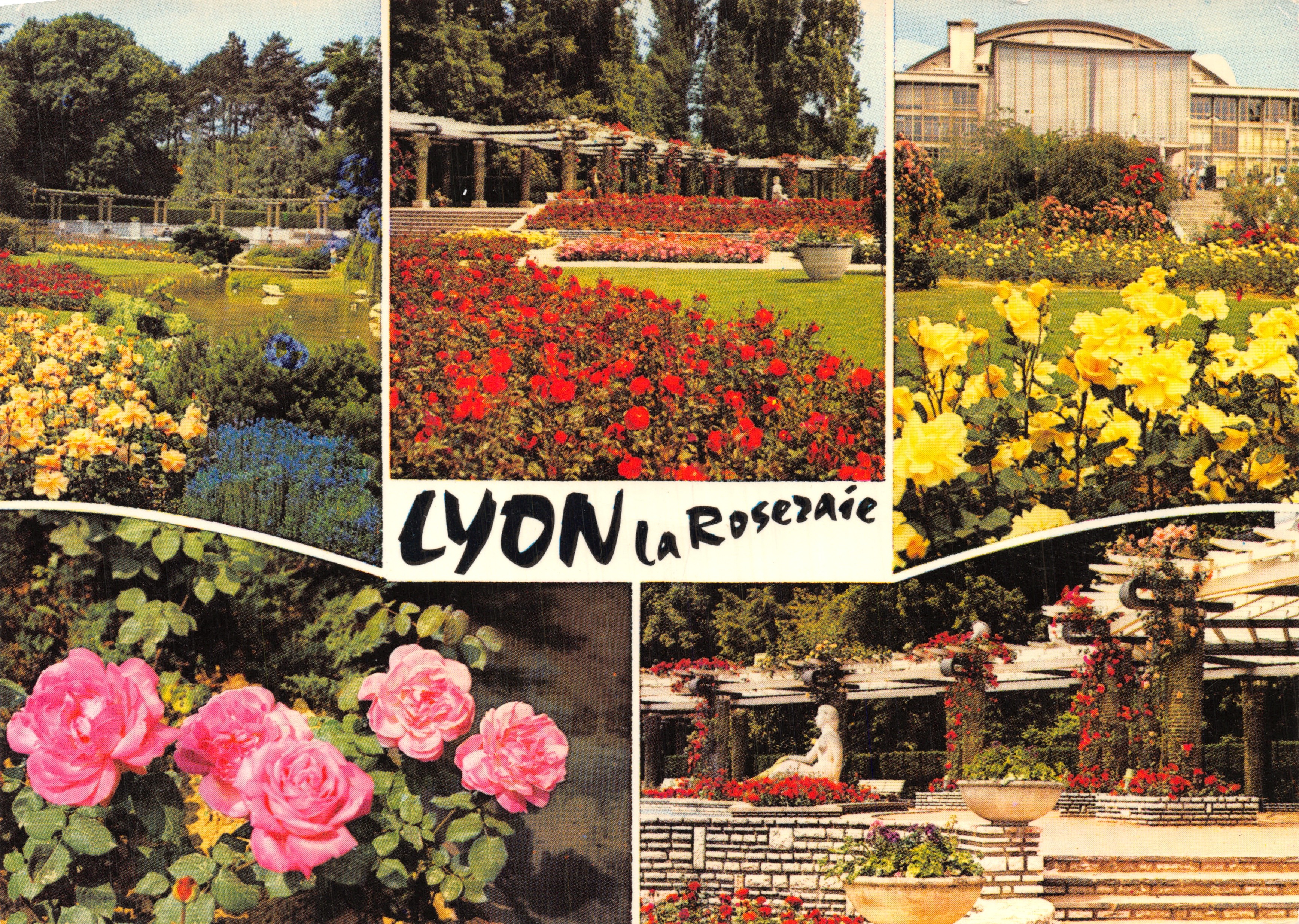 LYON La Roseaie — Jardín botánico con pérgolas y estatuas, editorial LYONCOLOR, n.º R. 145