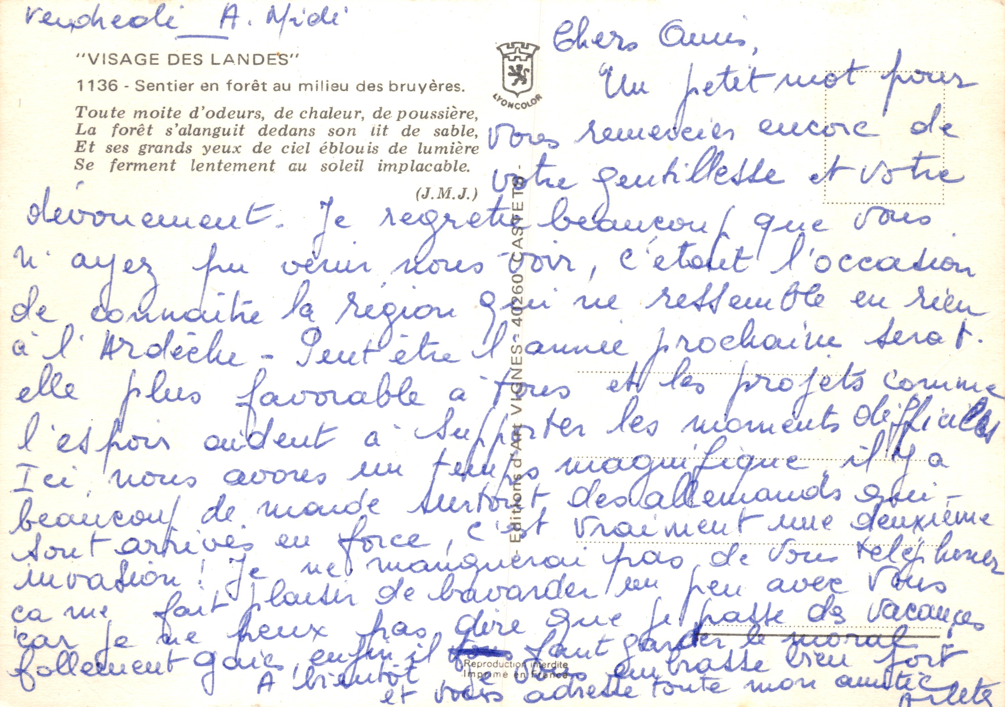 Forêt de Landes — Sentier au milieu des bruyères — VIGNES — Reverso