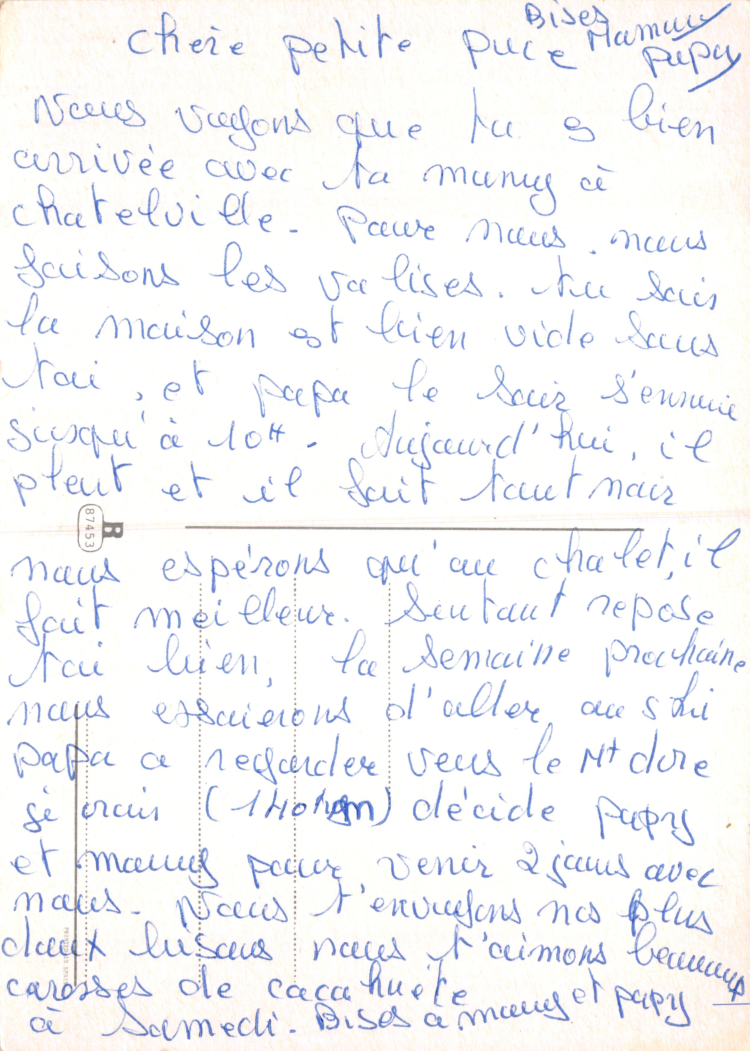 Chaton roux — dans un jardin fleuri — éditeur non visible — Verso
