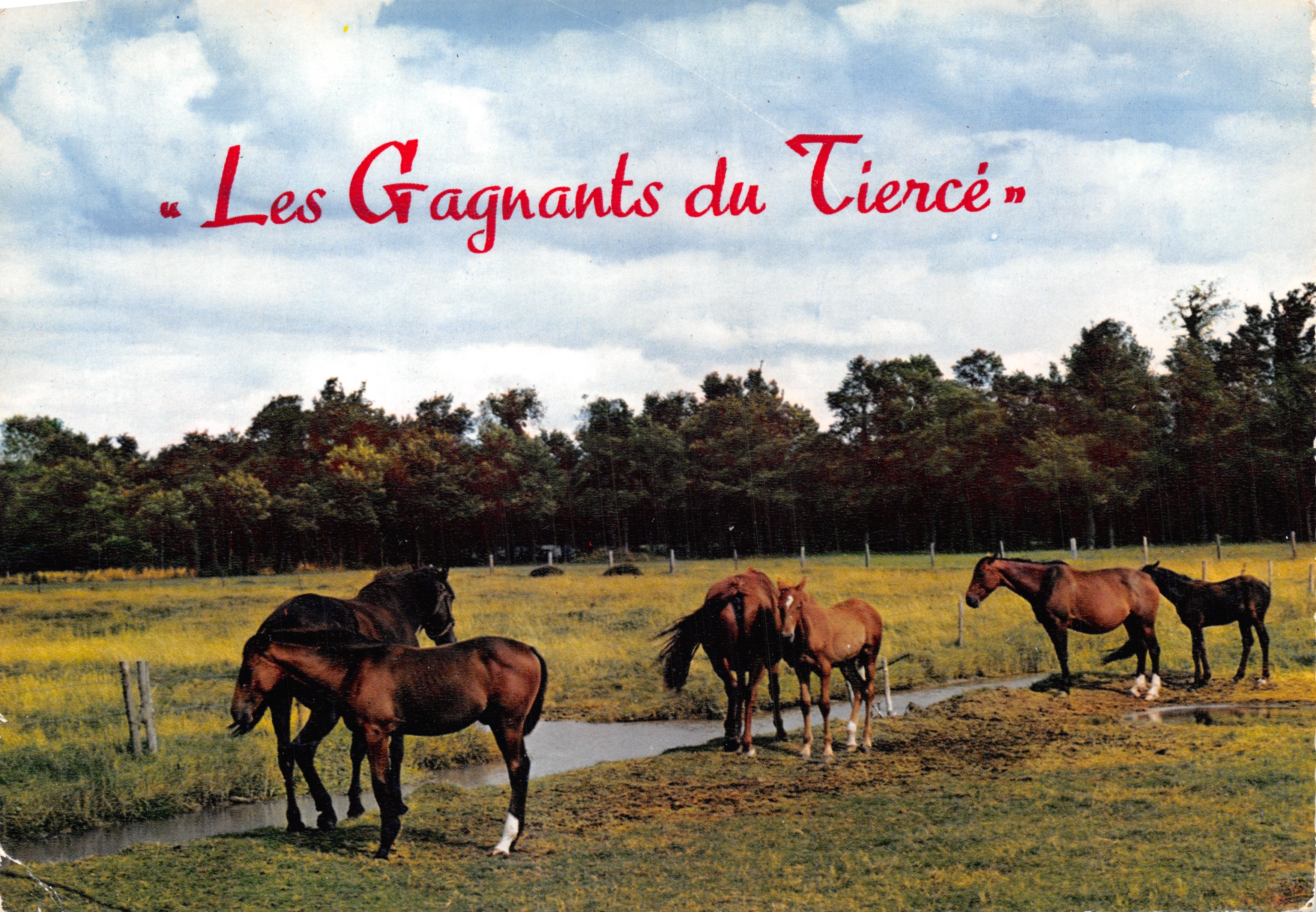 Die Gewinner des Tiercé — Verlag LUMICAD, Jard-sur-Mer, Nr. PP 1708