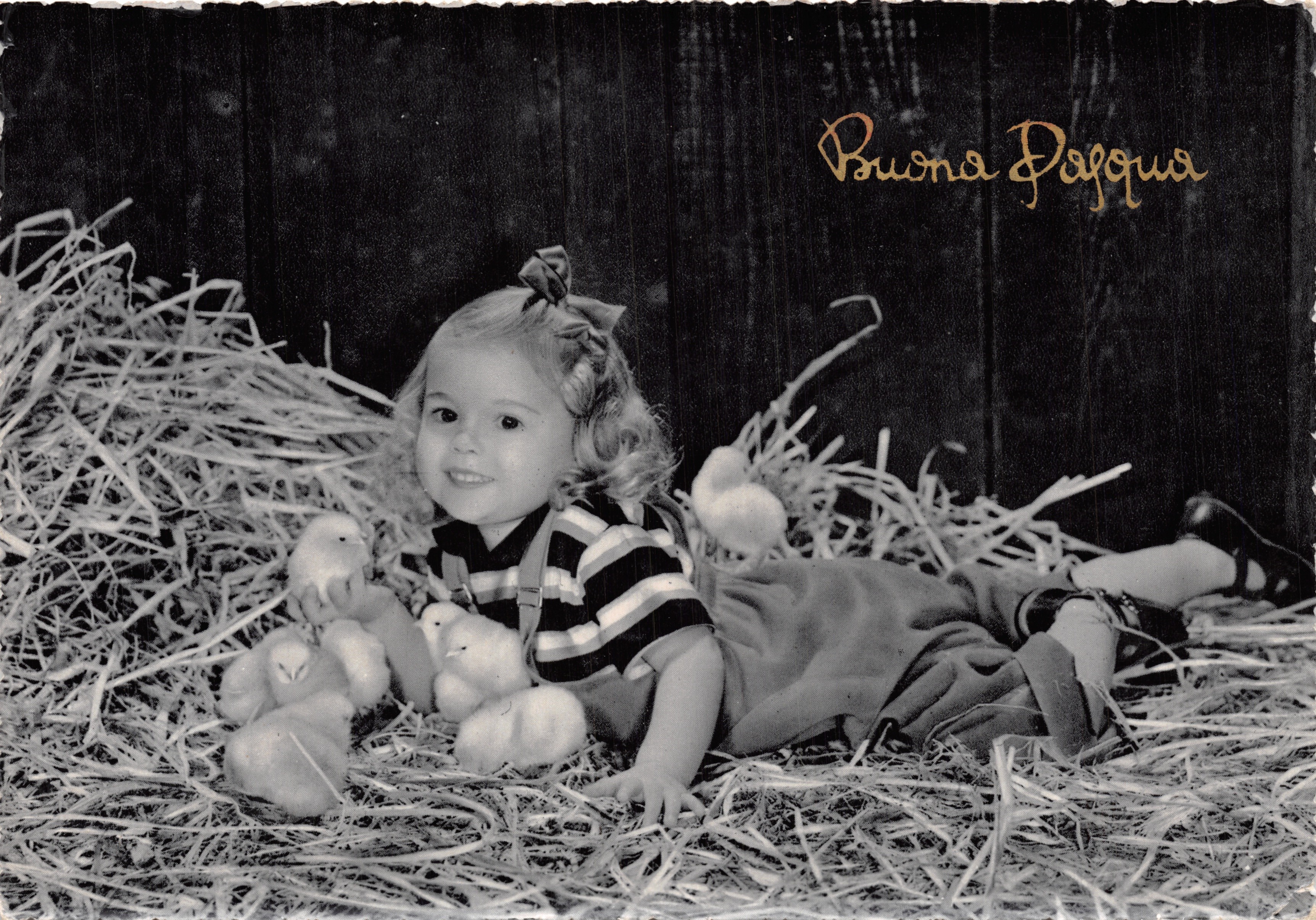Little girl with chicks — spring scene — publisher Ceccani n°7291