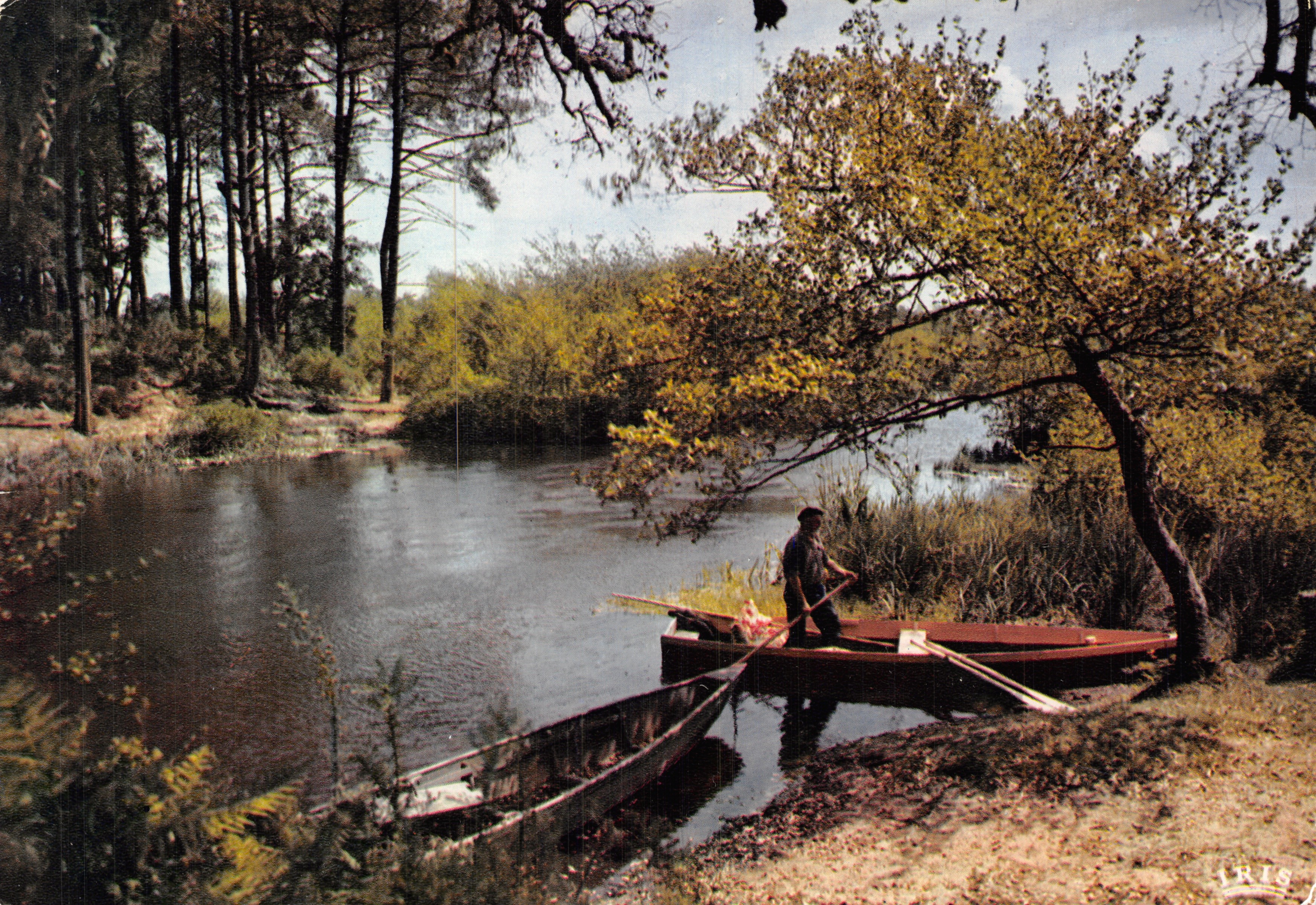 Corriente de las Landes — Río con capas de plata — Ediciones Mexichrome