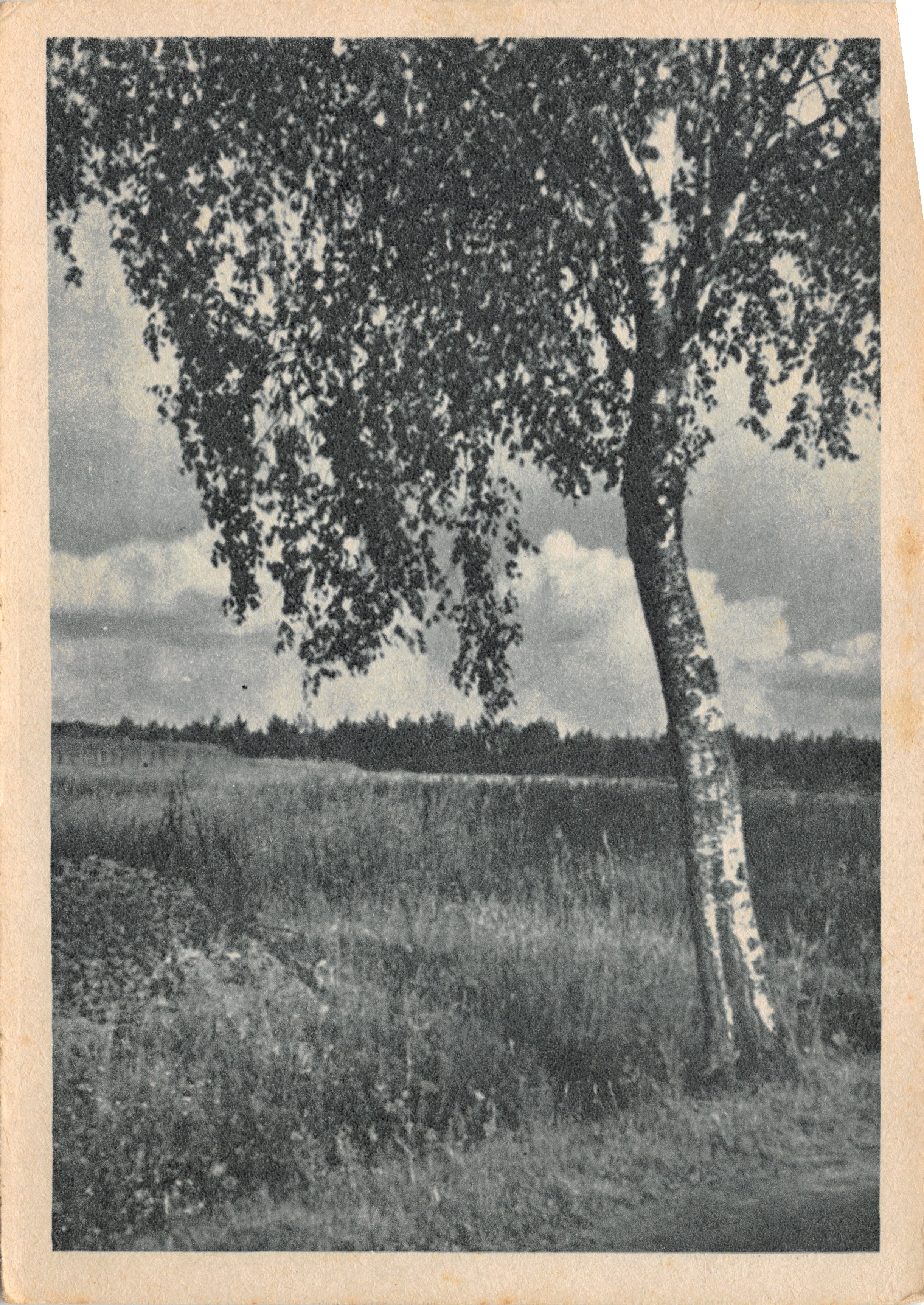 Birillo isolato — paesaggio rurale — editore Franckh-Verlag, Stoccarda, n. 1251