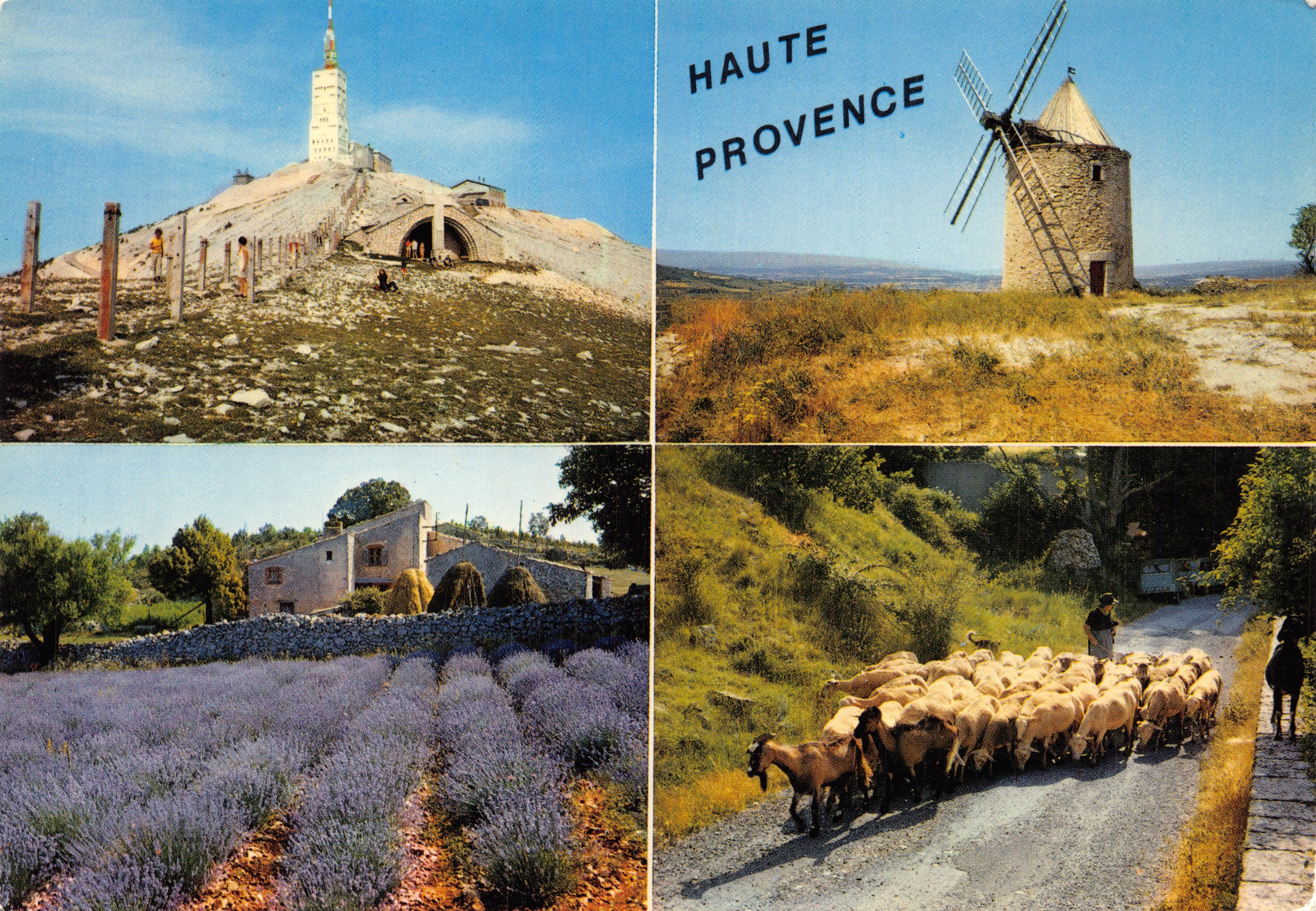 Mont Ventoux — Old Windmill — Lavender Fields — Sheep — Éditions J. CELLARD
