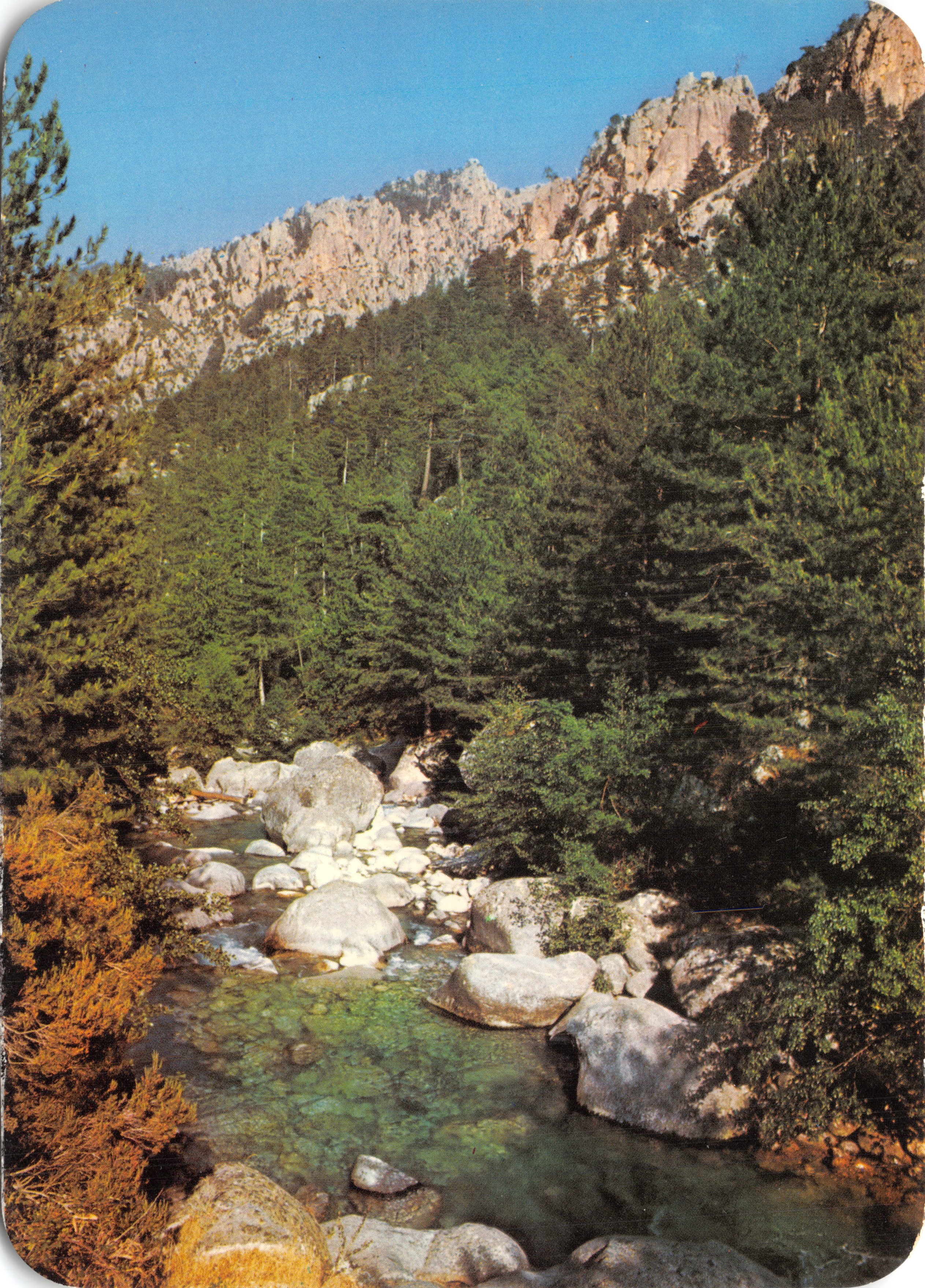 Paysage de la Restonica — rivière traversant une forêt de pins entre rochers — Éditions du Mouflon, 12/413