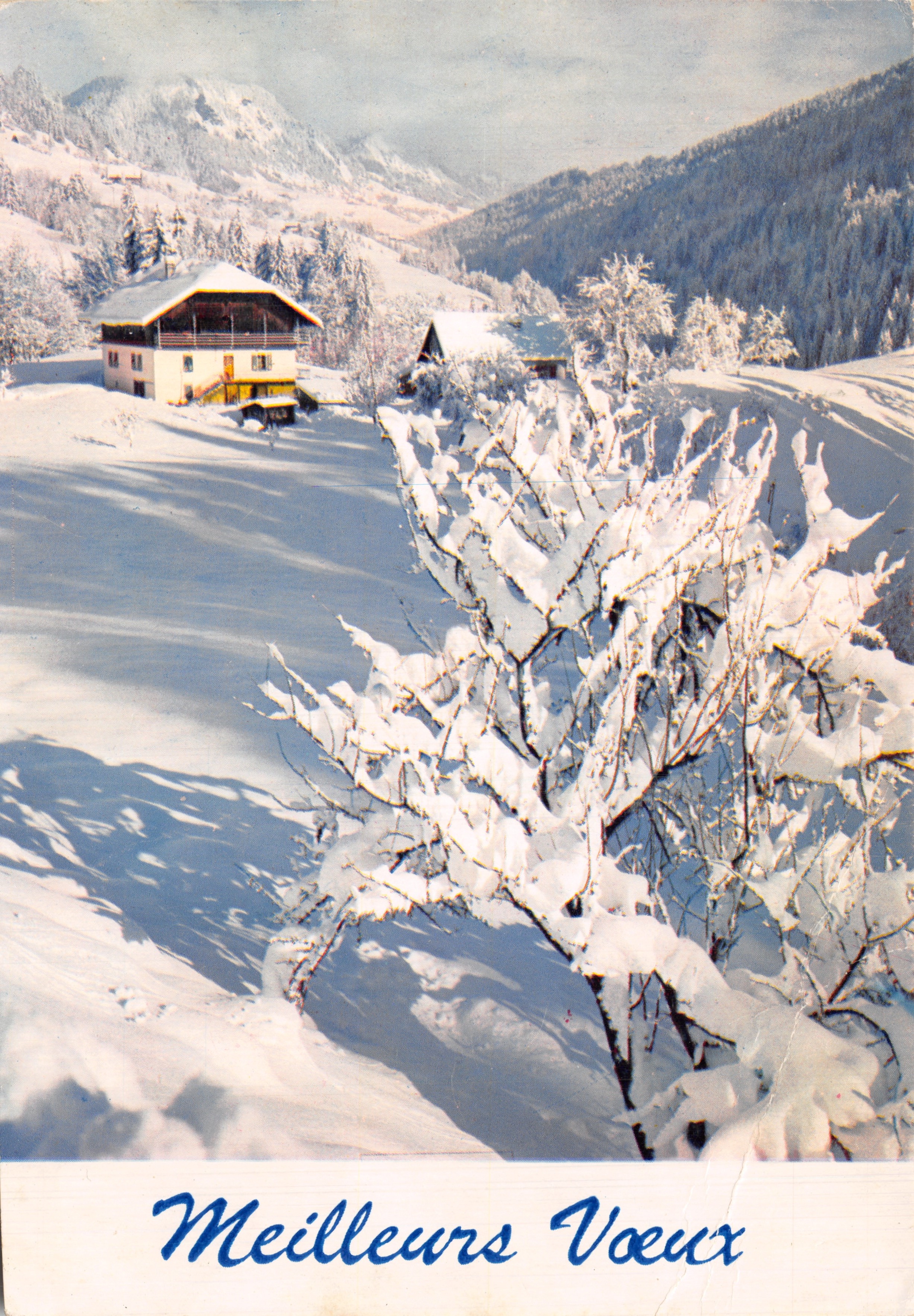 Alpine winterlandschap — sneeuwbedekte chalet met bos en bergen — uitgever niet zichtbaar