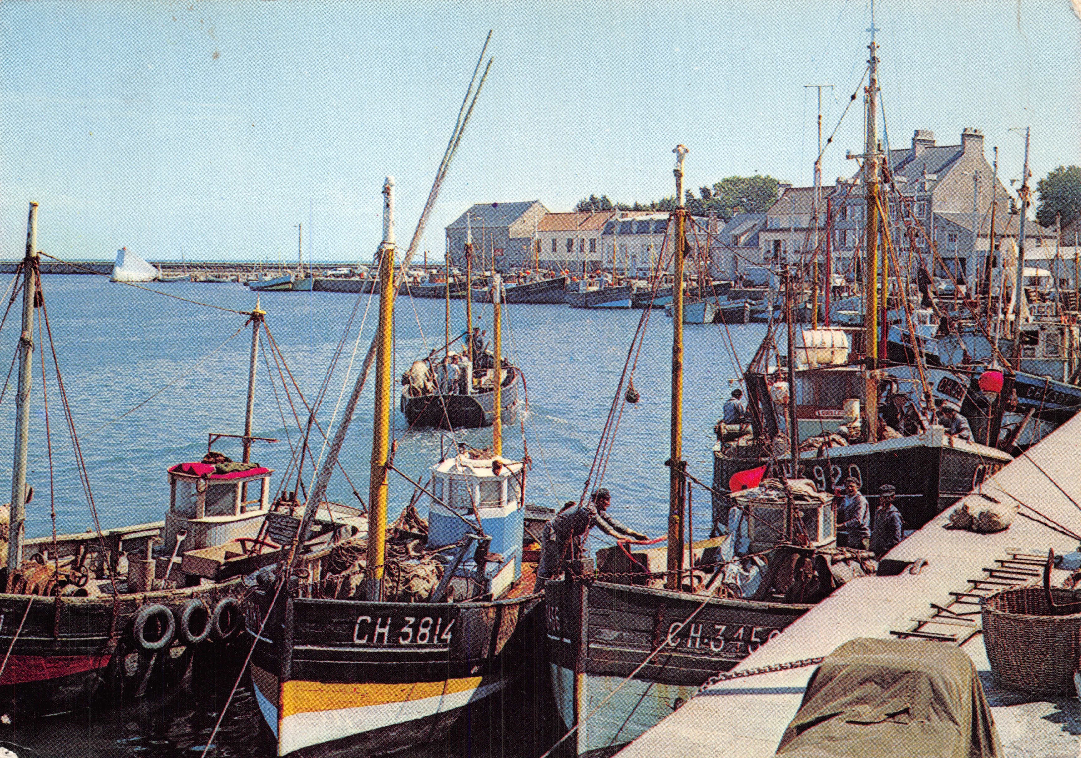 Saint Vaast la Hougue — Les Quais, les Cordiers y el Puerto — Colores Naturales