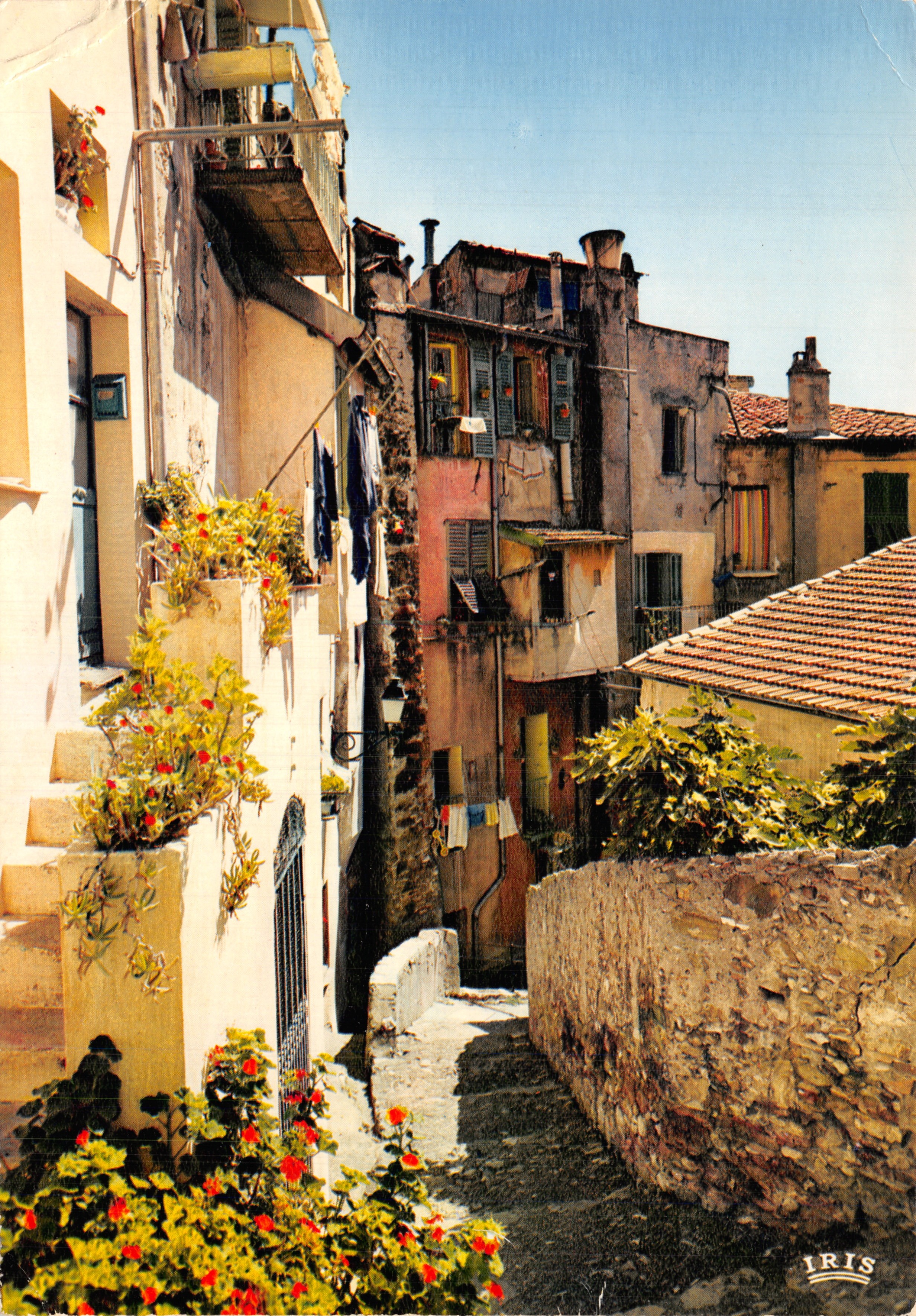 Menton — flowered street — publisher IRIS
