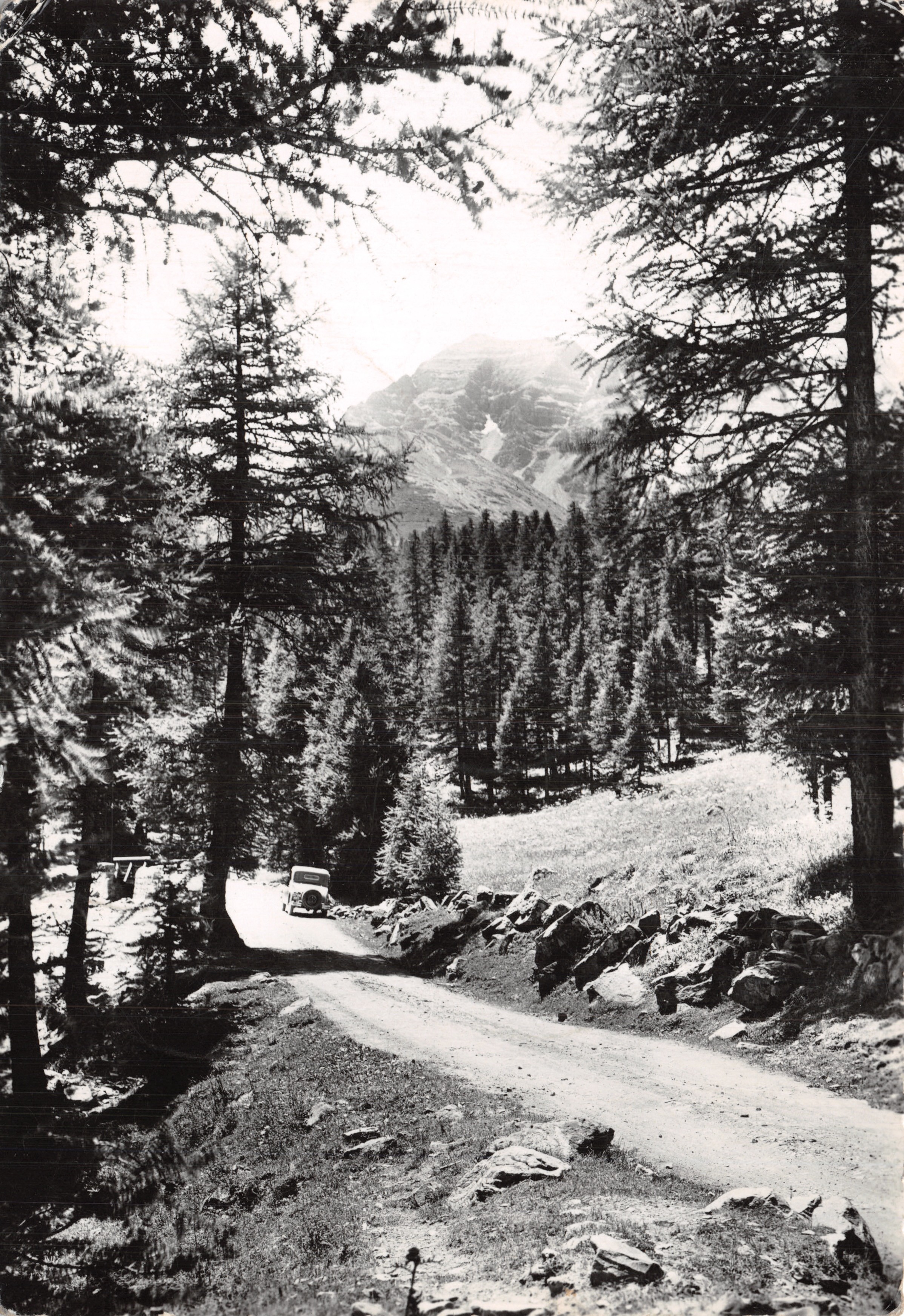 Le Col de Vars — vue du col en forêt de pins avec voiture — Éditions A.D.I.A. NICE