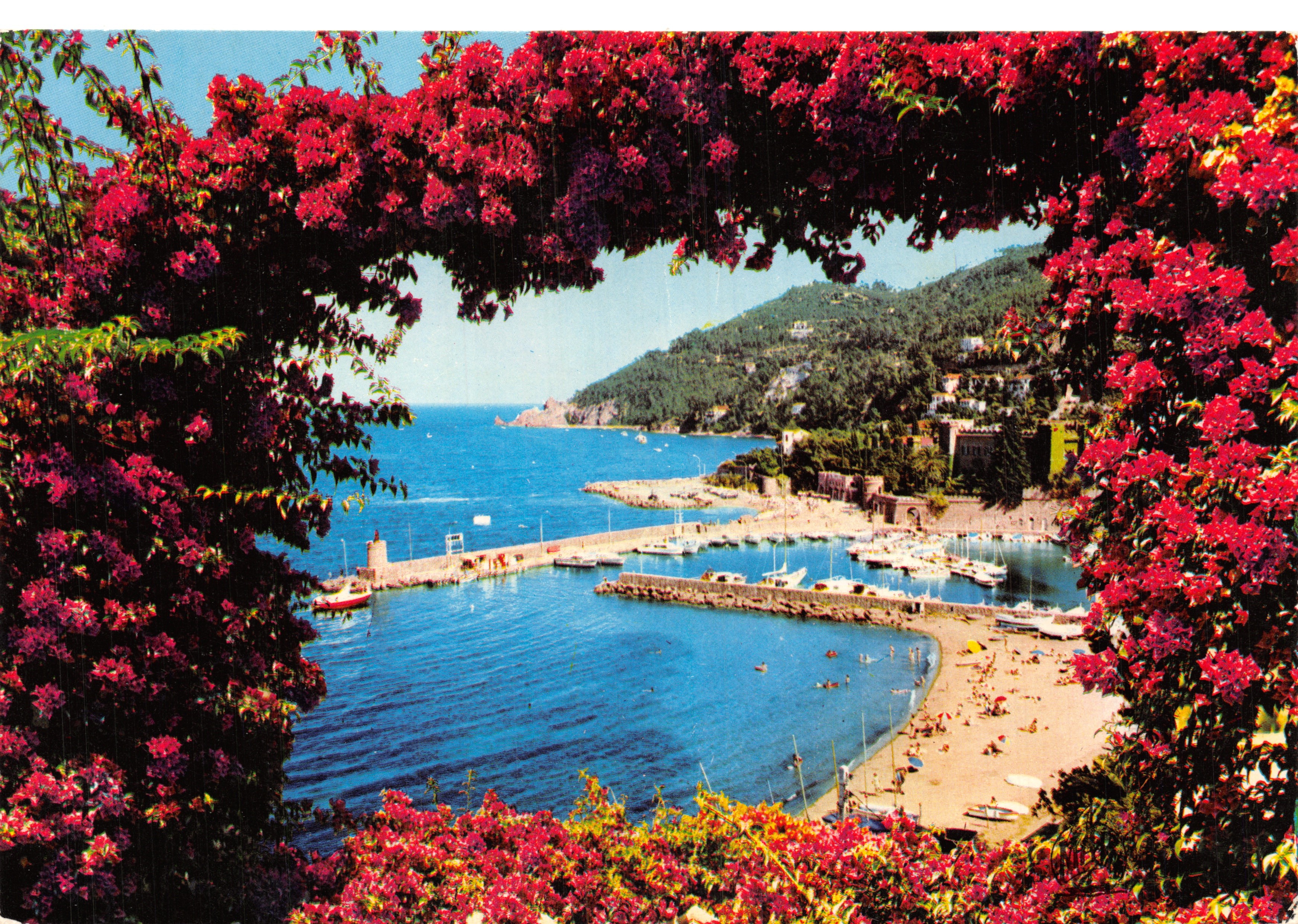 Théoule-sur-Mer — gerahmte allgemeine Ansicht mit roten Blumen — Éditions MAR, n°4421