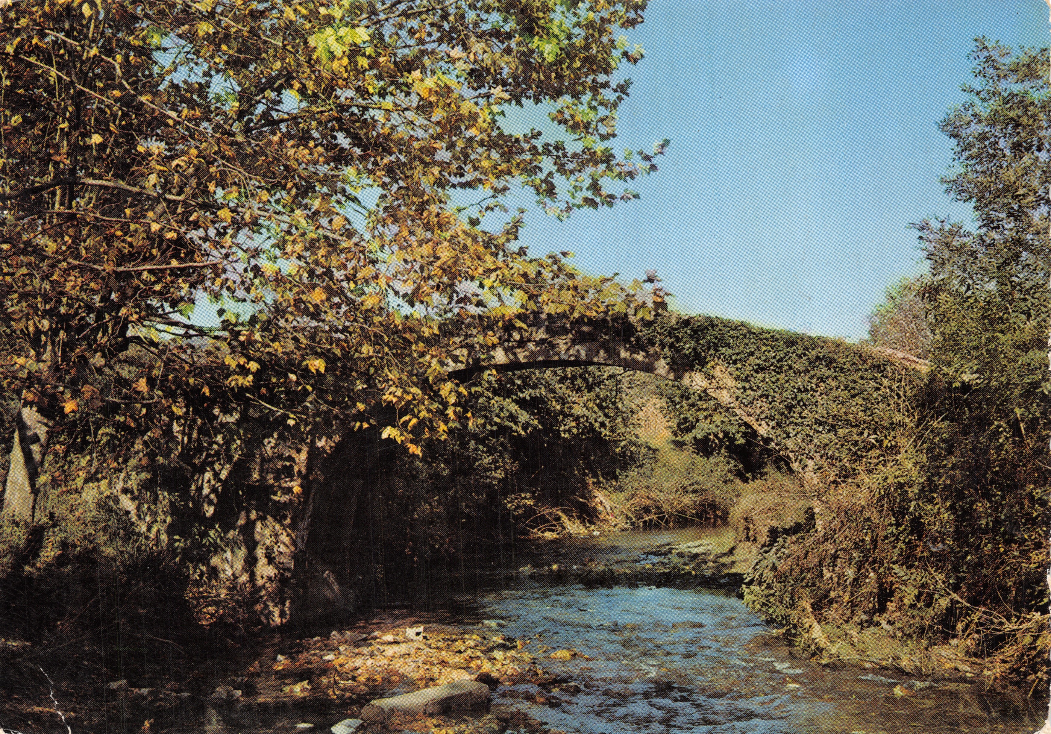 El puente romano — puente de piedra cubierto de hiedra sobre un arroyo — Éditions Solfiennes Atlantiques