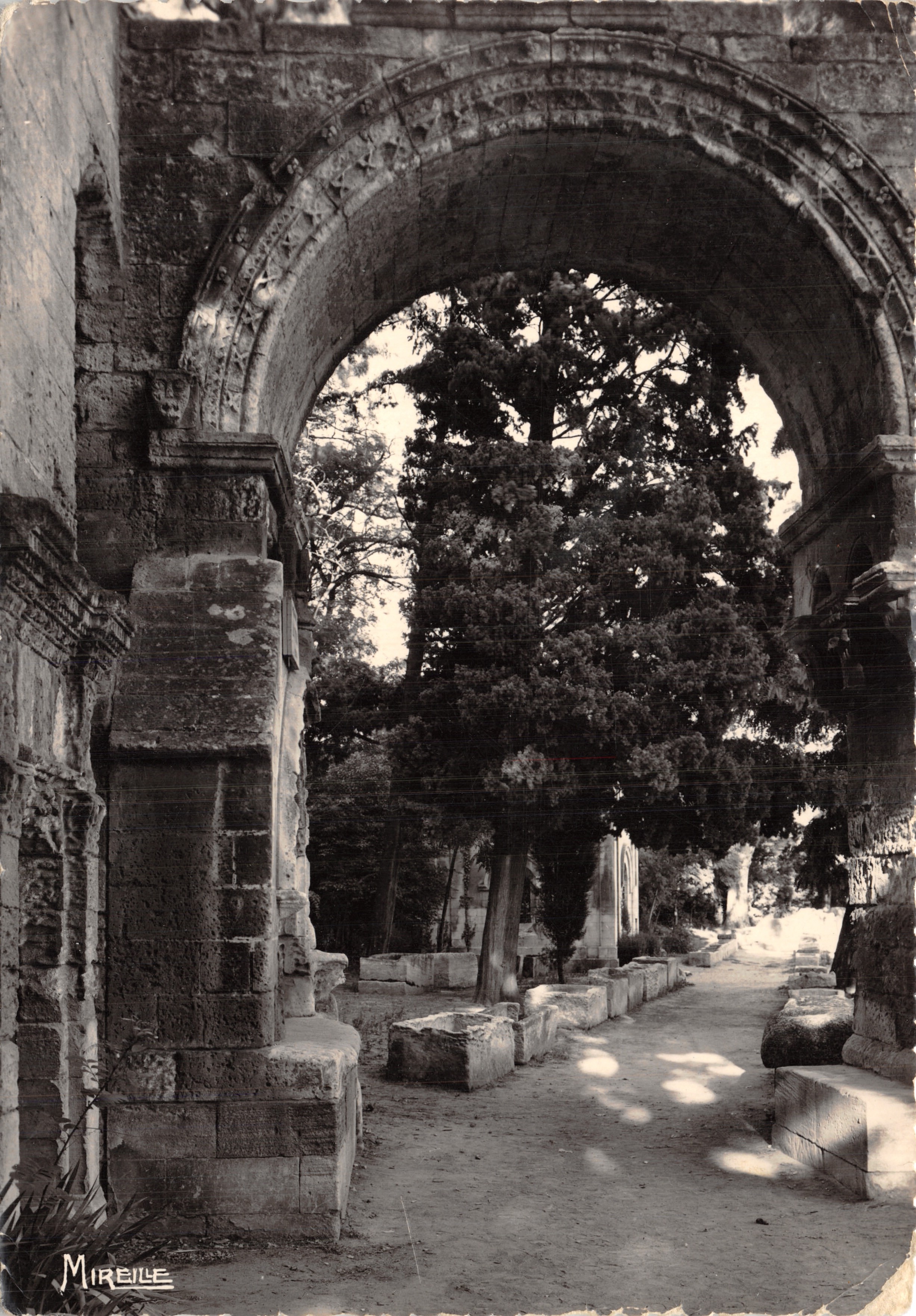 Les Alycamps - L'Allée des Sarcophages (Nécropole Gallo-Romaine) — Édition MIREILLE, n° 36, Rue Longue-des-Capucins