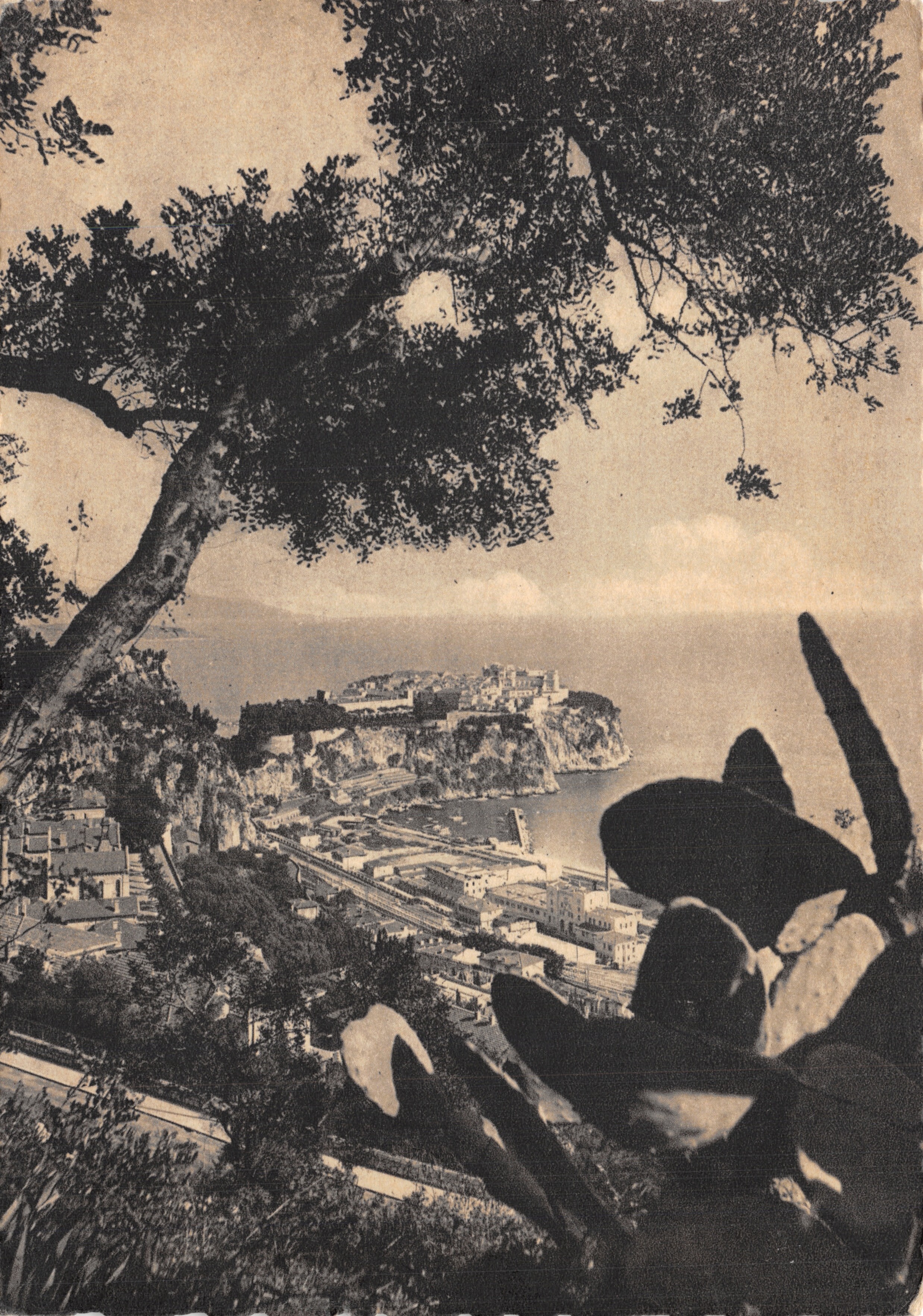 Vue de Monte Carlo — éditeur 'LA COUPE D'OR' n°171