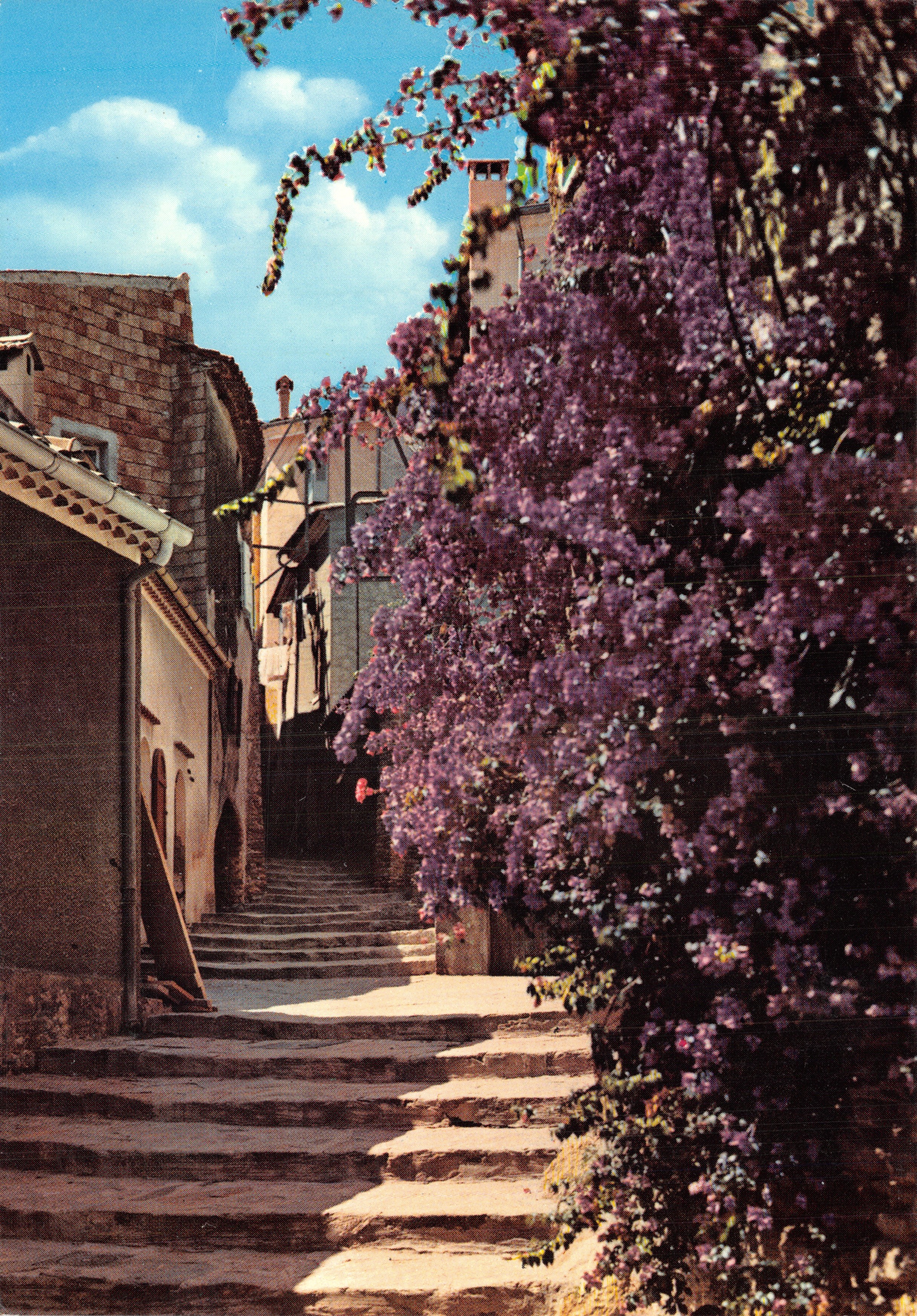 Floral Staircase — view of a stone staircase bordered by purple flowers — Éditions « AAB »