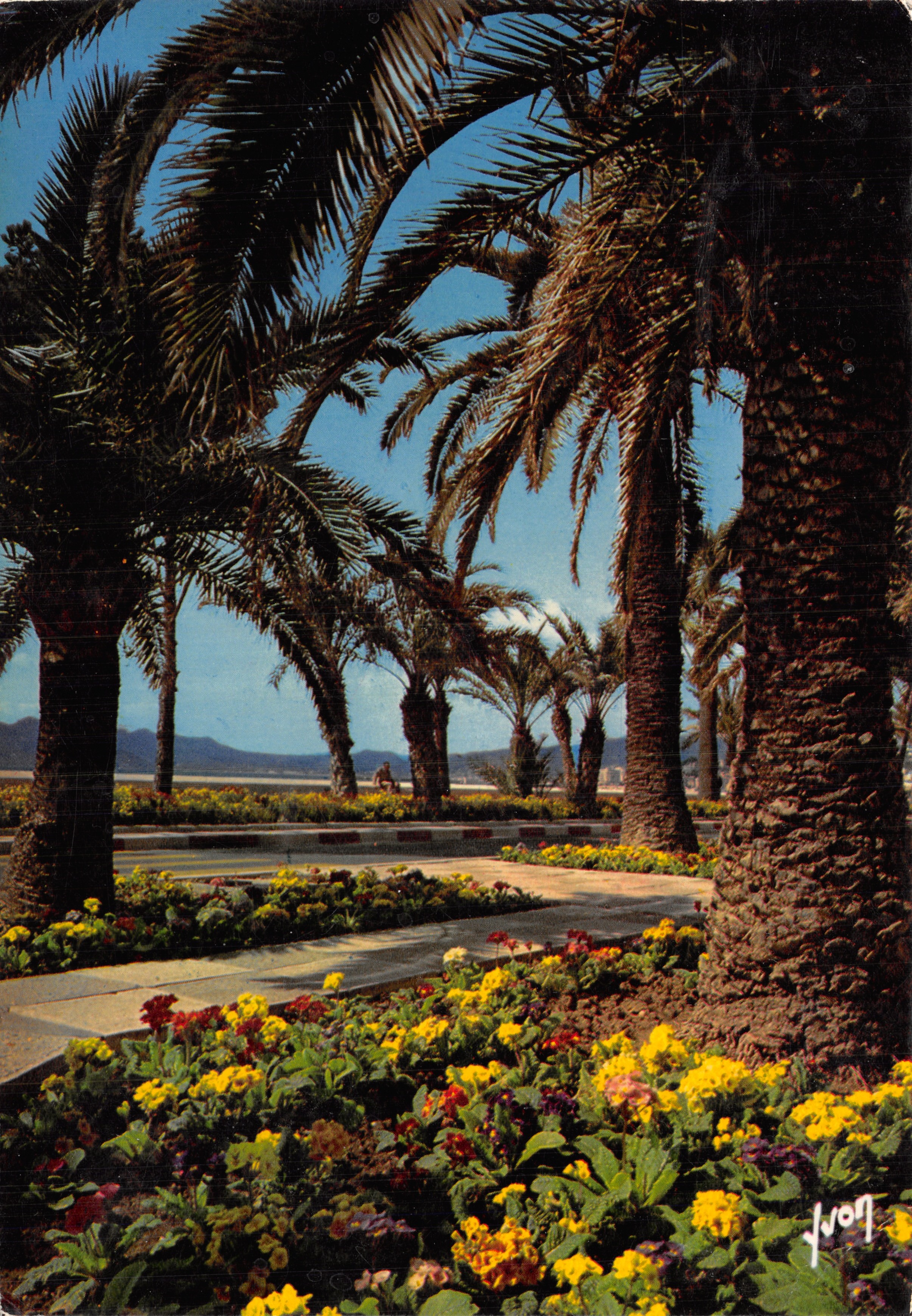 Parterres floridos de la Croisette — Cannes — Ediciones de arte Arcueil