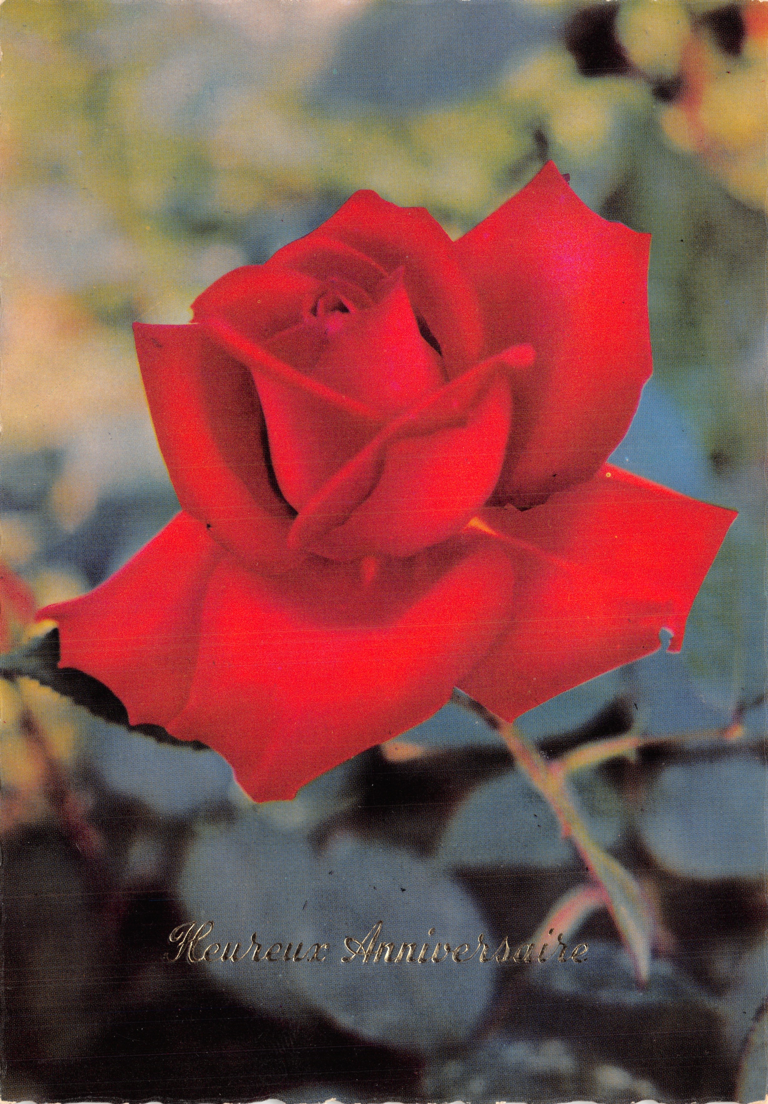 Rosa roja — acercamiento a la flor — editor 'LÉONORE DE MARCH' y n.º 529