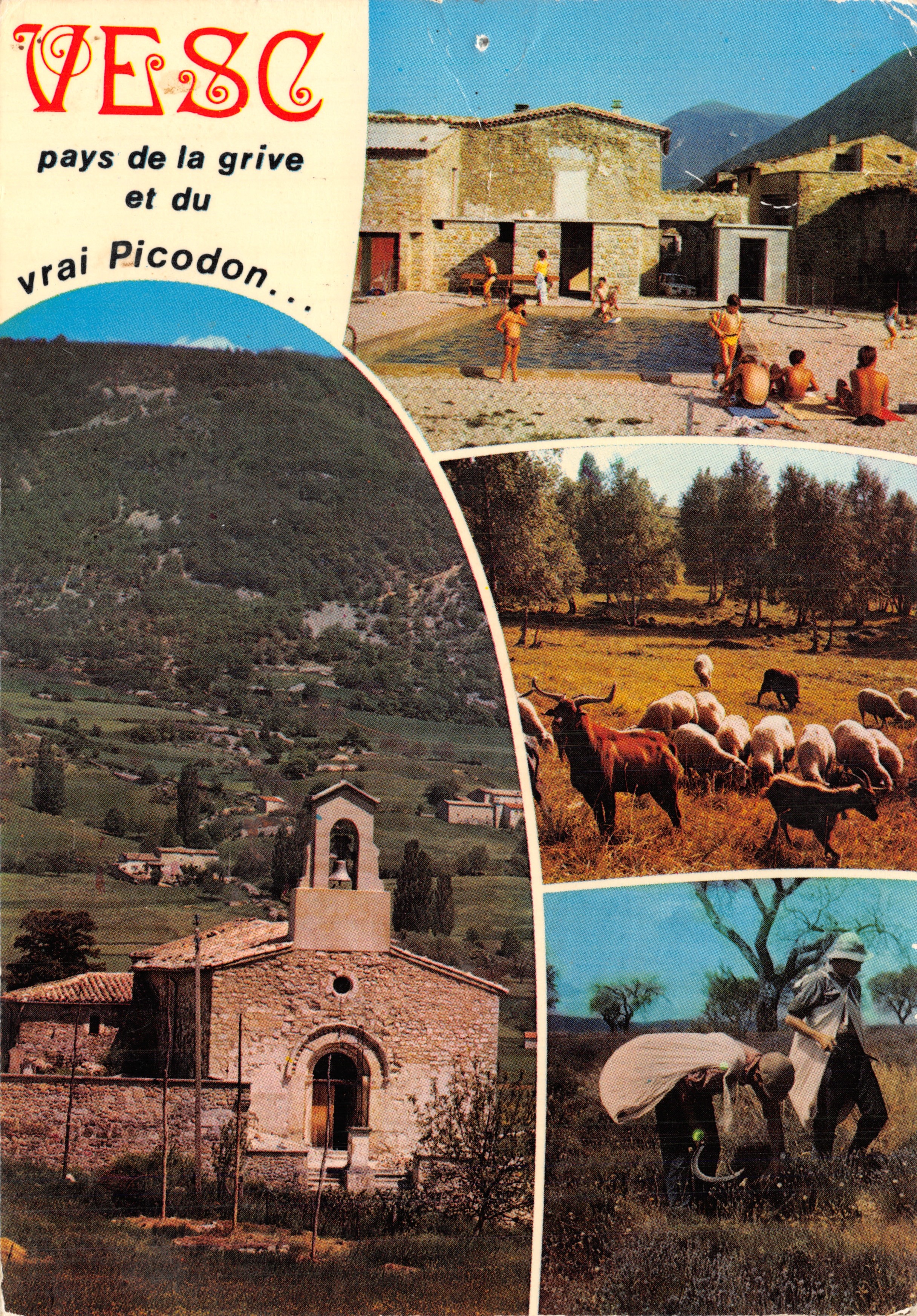 VESC — land van de specht en het echte Picodon — Éditions J. CELLARD