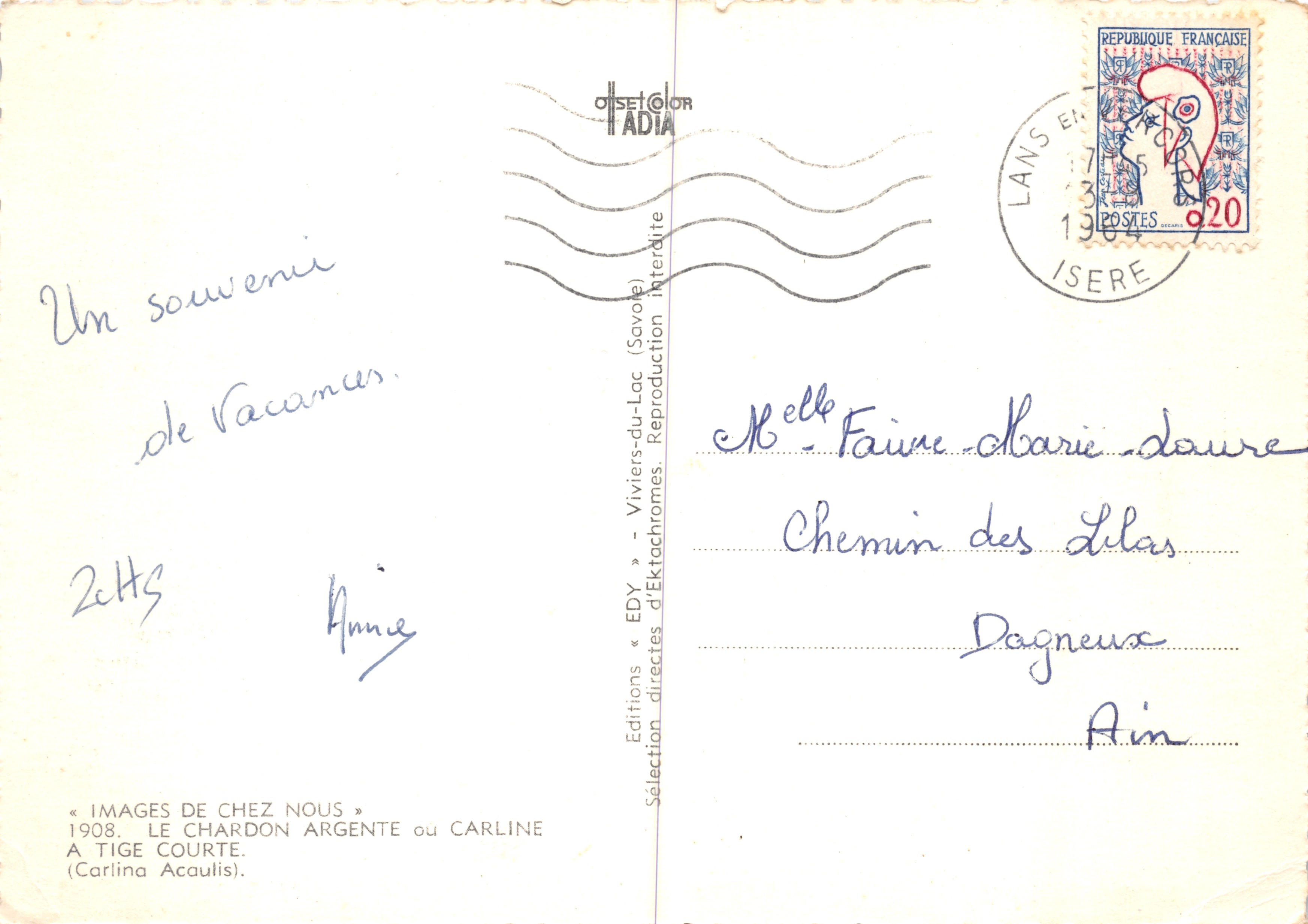 Chardon argente ou Carlina Acaulis — Éditions EDY Viviers-du-Lac (Savoie) n° 2475 — Reverso